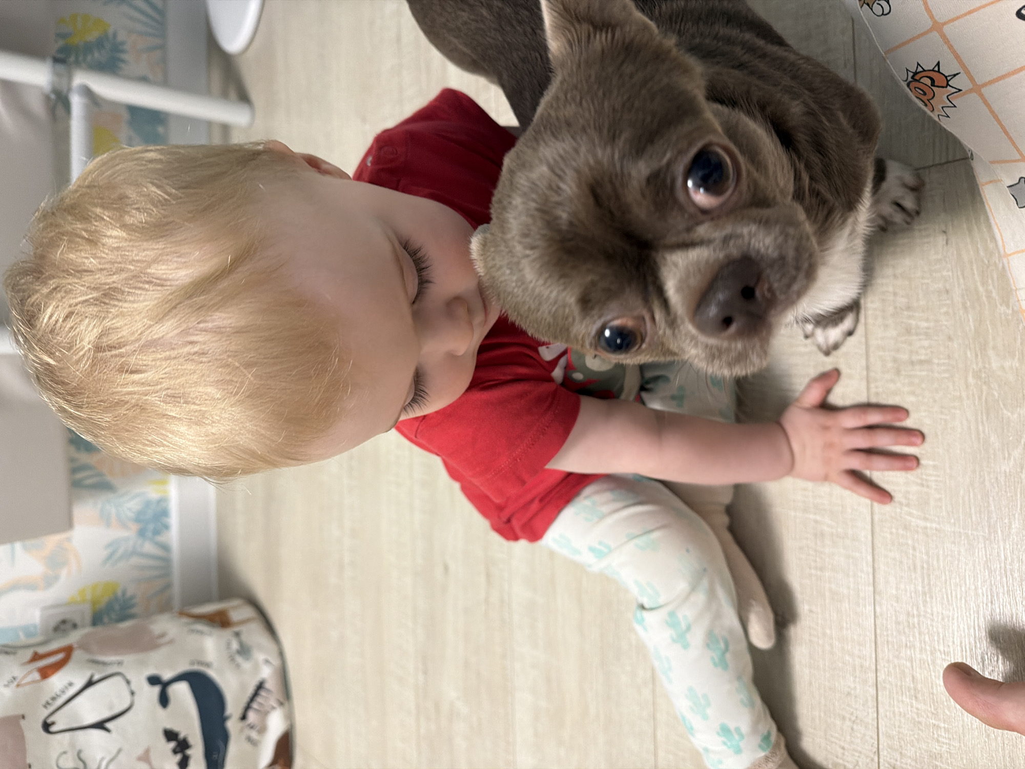 A top-down view captures a young child with blonde hair, wearing a red shirt and white leggings patterned with light blue cacti, positioned near a small, grey-brown dog with large, prominent eyes. The child's hand is outstretched on a light-colored wooden floor. The dog is looking upwards. Behind the child, on the left, is a crib with printed linens. In the background are furniture or other items. The location is unknown and there is no evidence to suggest that this photo was taken in Votkinsk, Russia.