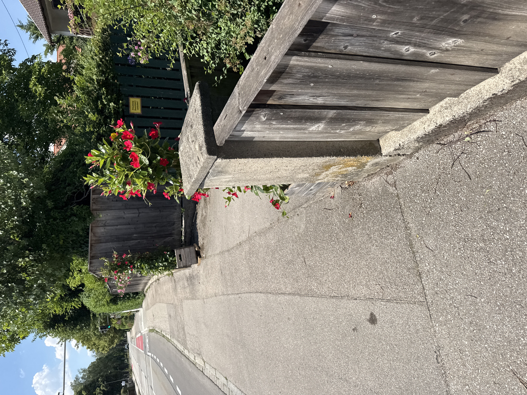 The image depicts a sidewalk and street scene in Höhenkirchen-Siegertsbrunn, Germany. A paved sidewalk runs alongside a road with a bike lane marked in red. Adjacent to the sidewalk is a weathered wooden fence and a concrete barrier. Lush green trees and bushes border the fence, with vibrant red flowers in a planter box adding a splash of color. A yellow sign with German text is visible on a green fence in the background, partially obscured by foliage. The sky is blue with scattered clouds, suggesting a bright, sunny day. There are no people or vehicles visible in the immediate vicinity. The scene appears to be a residential or suburban area.