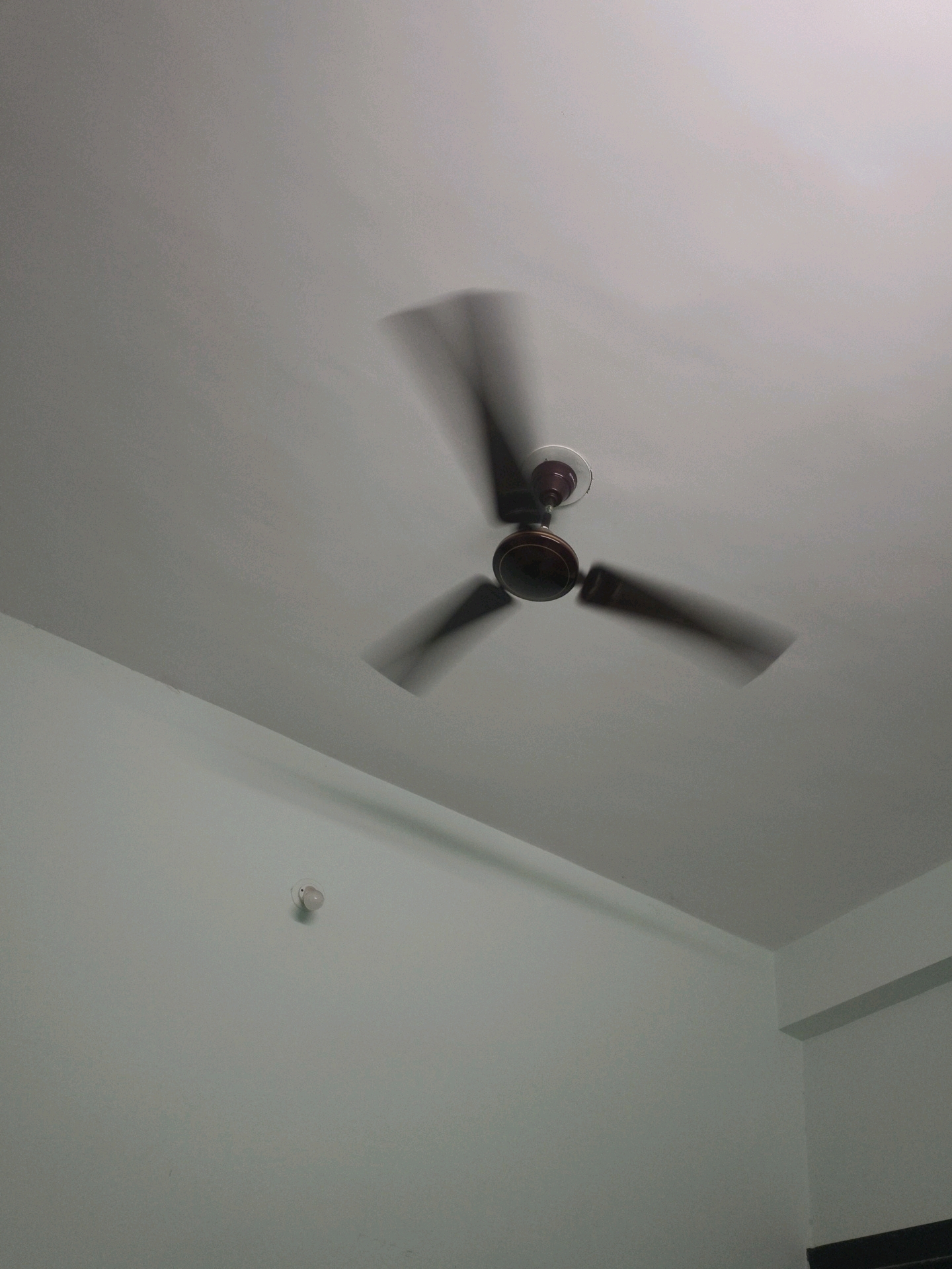 A ceiling fan is shown in motion against a plain ceiling. The fan has three blades and a central motor housing with maroon accents. The image is taken from below, looking upwards. The fan blades are blurred due to their speed. The walls of the room are a pale green. A small, white, round light fixture is visible on the wall in the lower left quadrant of the image. The overall lighting is soft and ambient. There is no indication of a specific location in Kota, India, other than that it is an indoor setting with typical residential features.