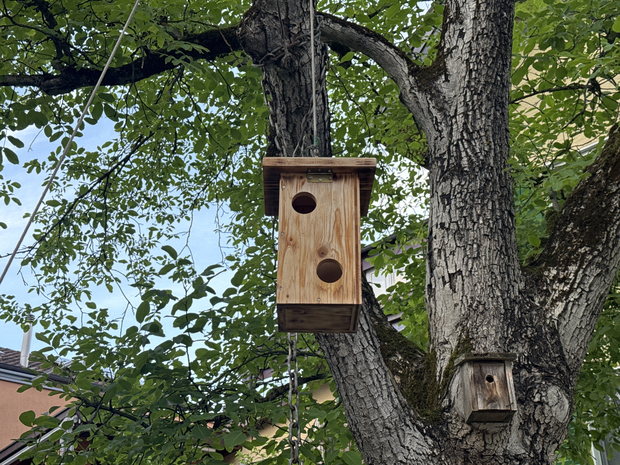 This image shows two wooden birdhouses attached to a large tree in Nendeln, Liechtenstein. The main birdhouse, constructed of light-colored wood, is suspended from a rope and chain above a smaller, older birdhouse nailed to the tree trunk. The tree has rough, gray bark and is covered in lush green leaves, suggesting it is spring or summer. In the background, parts of buildings with red tile roofs and a light-colored wall are visible through the foliage, indicating an urban or suburban setting. The sky is overcast. There are no people or animals visible in the image.