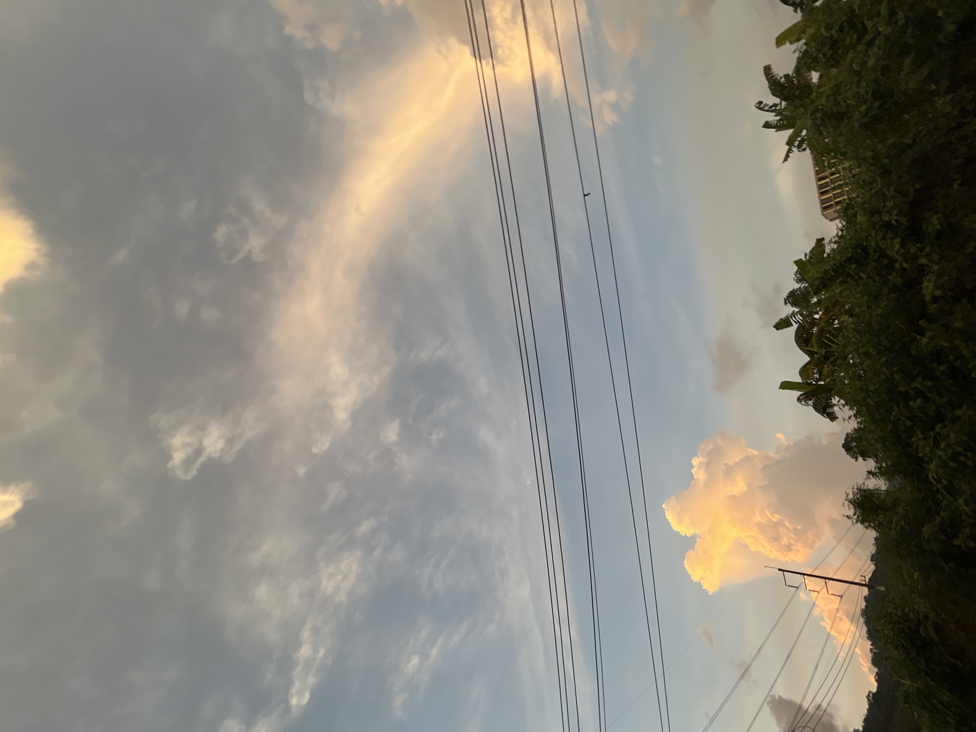 This image captures a dramatic sunset sky over the city of Ratsada, Thailand. The sky is filled with a mix of wispy cirrus clouds and larger, cumulus formations, some of which are illuminated by the setting sun with vibrant hues of orange and yellow. Power lines are stretched horizontally across the mid-section of the frame, creating a stark contrast with the natural beauty of the sky. Below the sky, a dense line of lush green trees forms the lower boundary of the image, obscuring much of the city's lower landscape. In the distance, a partially visible building with a distinct grid-like structure peeks through the foliage. A solitary utility pole is visible on the left, adding to the urban elements within the scene. The overall impression is one of natural beauty intermingled with signs of human infrastructure.