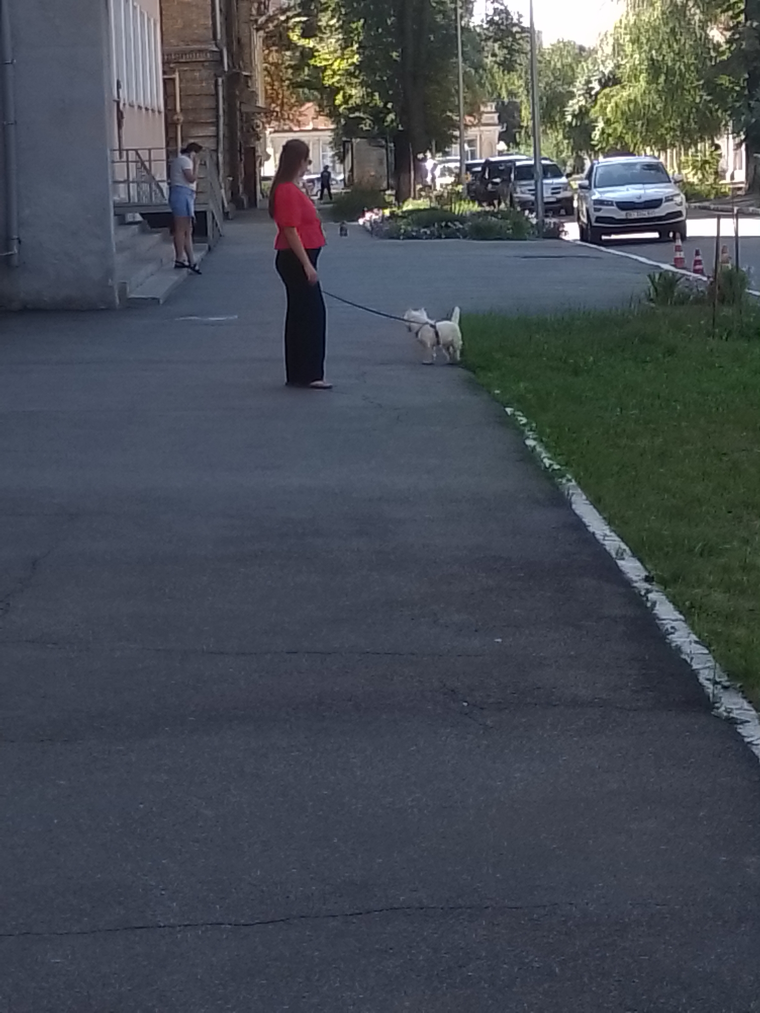 In Poltava, Ukraine, on a sunny day, a woman in a red shirt and black pants stands on a paved sidewalk, holding a leash attached to a small white dog. The dog is a few feet in front of her, facing away from the camera. The woman has dark hair and is looking towards the dog. Behind her, further down the sidewalk, another person in a white shirt and blue shorts stands near the steps of a building. Across the street, several cars are parked, including a white Skoda. The environment is urban, with a building on the left and trees and grass on the right. The sidewalk appears to be well-maintained.