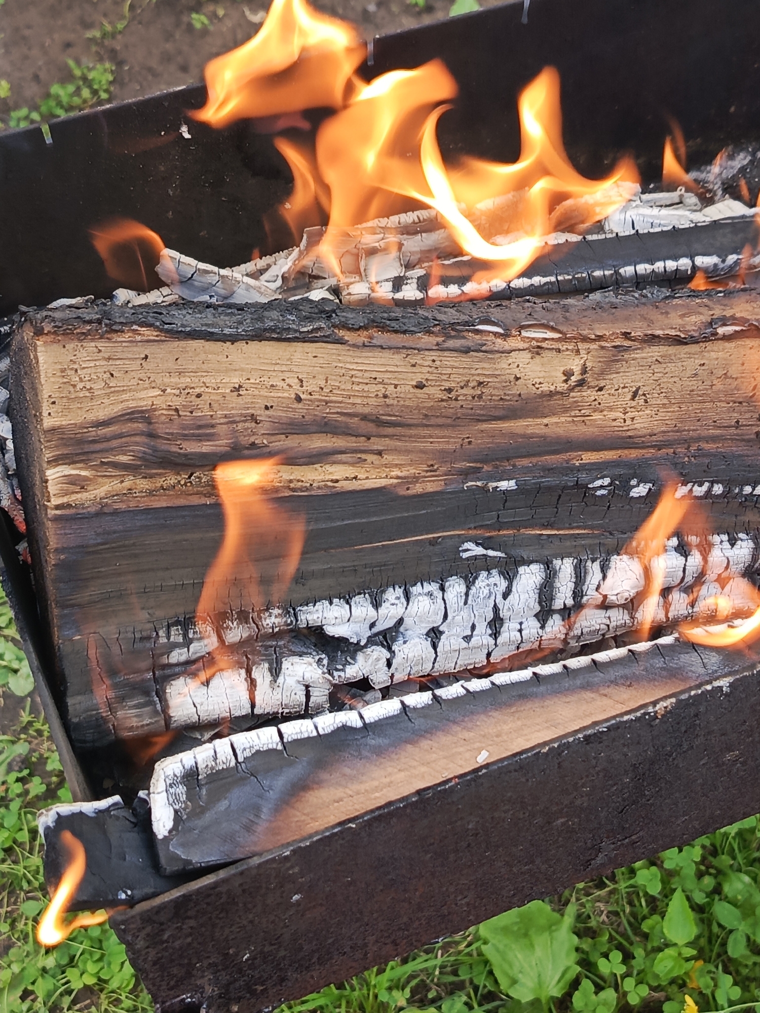 The image shows a close-up of a metal brazier containing burning logs. The logs are partially charred and covered in white ash. Bright orange flames lick at the wood, with some smoke visible. The brazier itself is dark and appears to be outdoors, resting on green grass and dirt. The background is out of focus, but suggests a natural or garden setting. There are no people or animals visible in the image. The scene is domestic, likely a backyard or park, and the focus is on the fire.