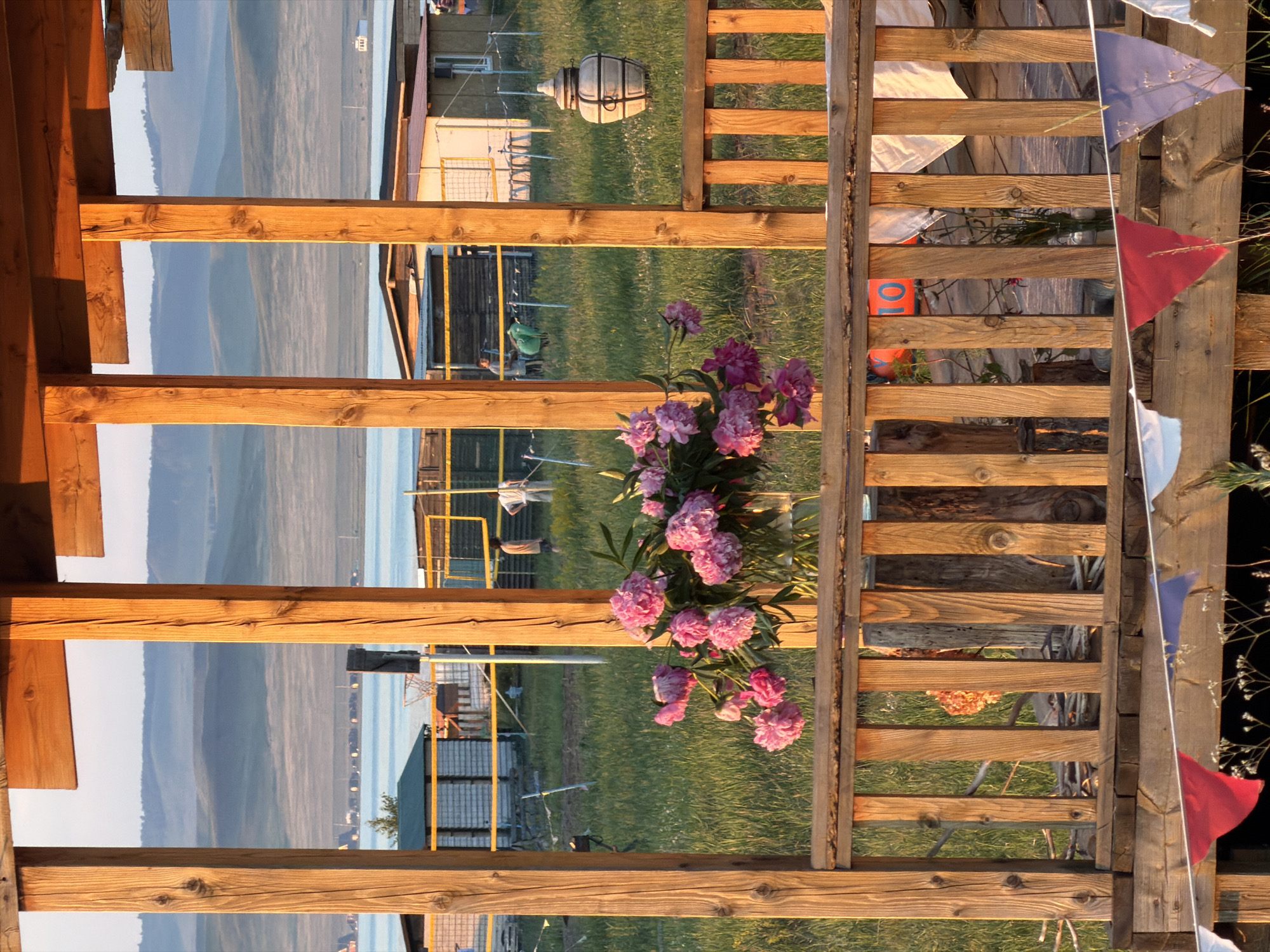 A vertical outdoor shot captures a wooden railing in the foreground, with soft sunlight illuminating its weathered planks. Beyond the railing, a vibrant bouquet of pink peonies rests in a vase, their delicate petals catching the light. The background reveals a lush green lawn and a body of water reflecting a hazy, blue sky, hinting at a serene natural setting. In the distance, a few buildings and a lamppost are visible, suggesting a rural or semi-rural environment. The overall mood is peaceful and tranquil. The image appears to be taken during the golden hour, with the warm sunlight casting long shadows and bathing the scene in a soft glow.