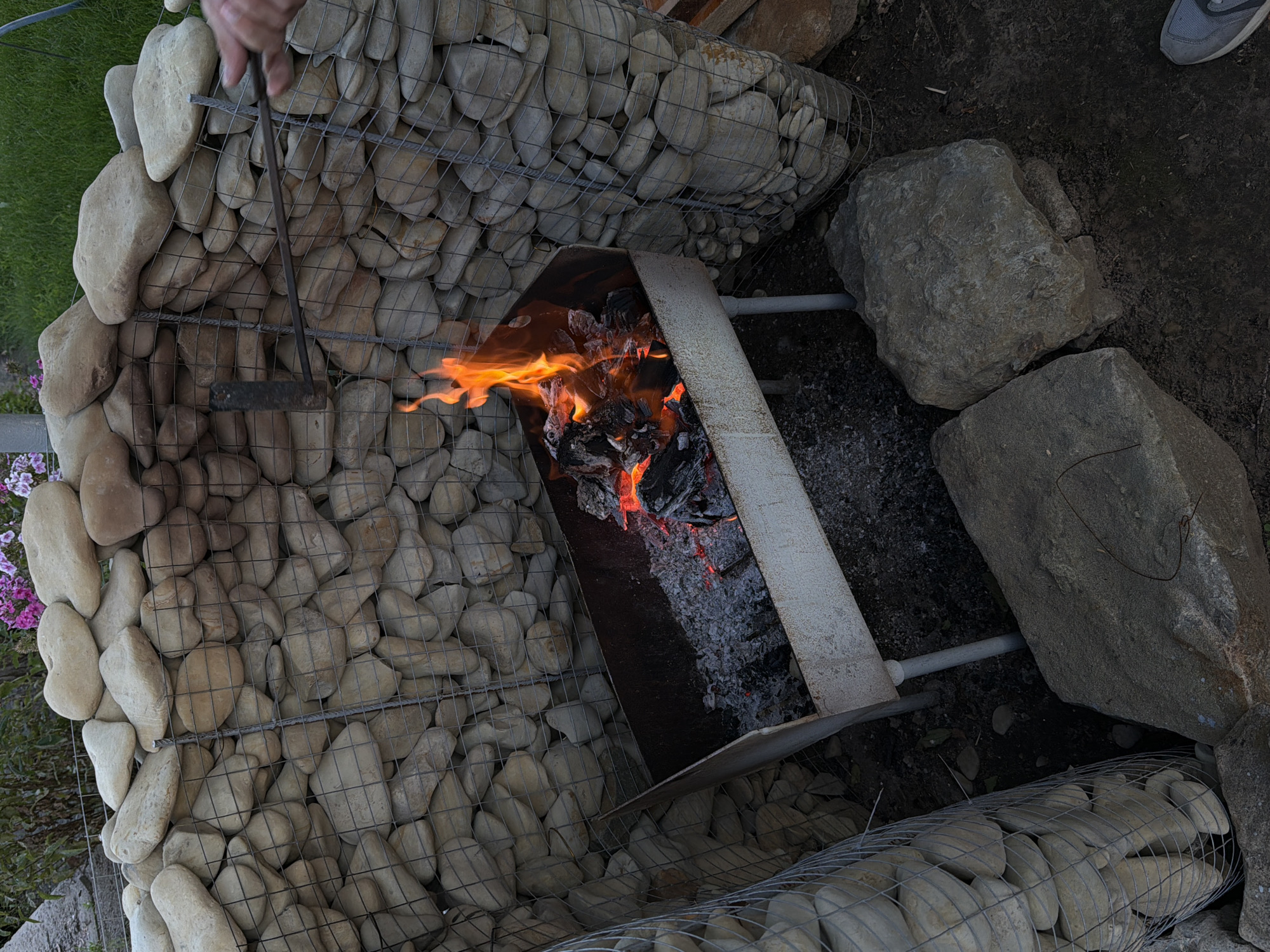 The image depicts an outdoor scene with a makeshift barbecue pit. A metal brazier, filled with burning charcoal and ashes, is supported by metal legs. Flames are actively burning within the brazier. Surrounding the pit is a structure made of wire mesh cages filled with light-colored, smooth stones, forming a rustic enclosure. In the background, there is greenery, and some pink flowers are visible. To the right of the frame, a hand holds a metal tool, possibly for tending the fire. The ground appears to be dark soil with some scattered rocks. The overall impression is a casual outdoor cooking setup. The location is the city of Kamyshin, Russia.