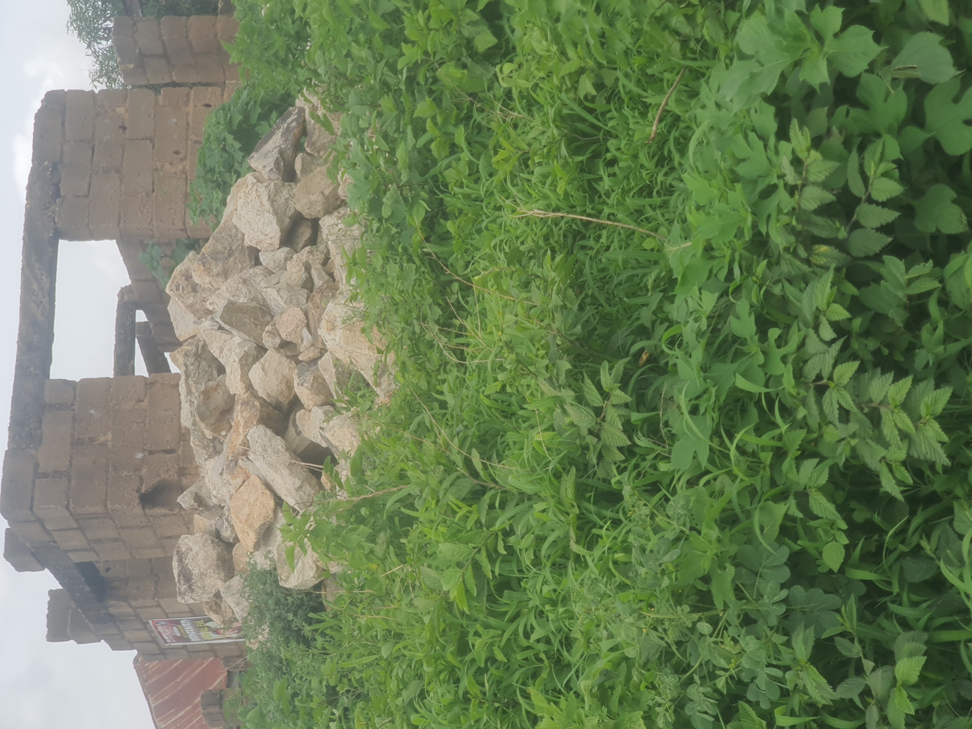 A pile of large, light-colored stones sits in front of a partially constructed brick building with an open doorway. The building appears weathered and incomplete, with a rusted metal roof section visible on the left. Dense green foliage, including tall grasses and leafy plants, covers the foreground and surrounds the pile of stones and the base of the building. A poster is affixed to the left side of the structure. The scene is set outdoors under an overcast sky. The location is Rukuba Road, Nigeria.