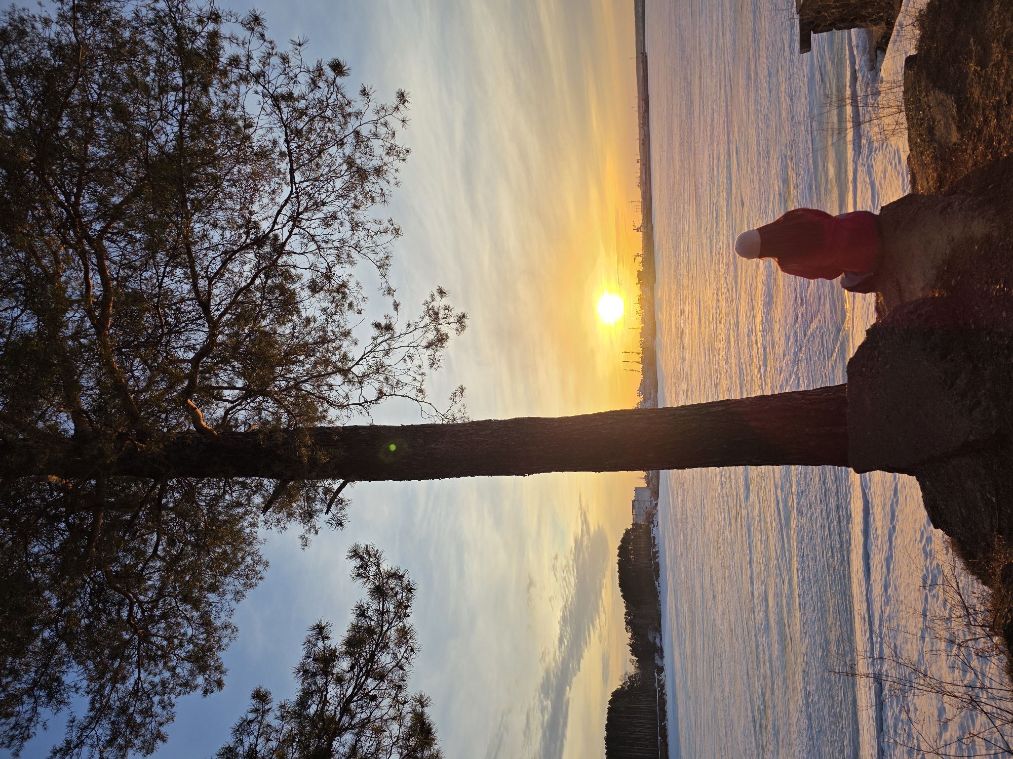 An outdoor scene in Chaikovsky, Russia, depicts a winter sunset or sunrise over a vast, frozen body of water. In the foreground, a large, dark-trunked coniferous tree stands centrally, its branches and needles partially silhouetted against the sky. To the right of the tree, a person is seated on a dark, rocky embankment, observed from behind. This individual wears a white beanie and a red jacket, with long reddish-brown hair visible beneath the beanie, and faces the distant horizon.
The midground consists of the expansive frozen water surface, covered in white snow and blue-tinted ice, reflecting the warm hues of the sky. The horizon features a bright, intensely glowing sun positioned to the left of the frame's center. Beyond the frozen water, the far bank shows a dense treeline of coniferous trees on the left, and a series of industrial structures on the right, including buildings and numerous vertical elements resembling cranes or vessel masts, indicating a port or industrial area. The sky exhibits a gradient from light blue at the top to vibrant orange and yellow near the sun, with scattered, thin clouds. Sparse, dry vegetation is visible on the immediate foreground embankment.
