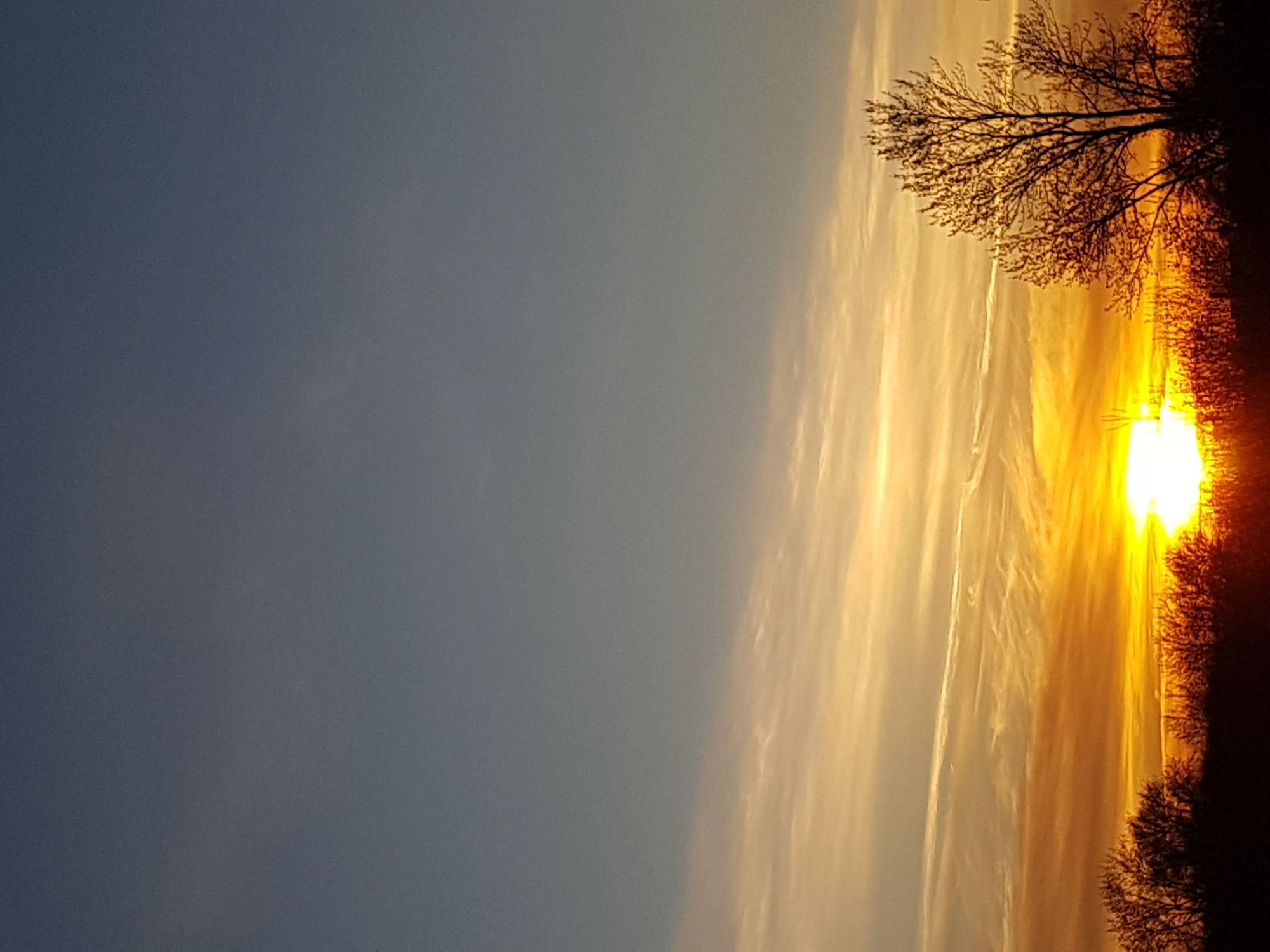 The image shows a bright sunset. A bare tree and some shrubbery are visible in silhouette along the right edge. The sky is a mix of dark blue on the left and golden yellow on the right where the sun is setting. The image is possibly taken near the outskirts of a city, but there are no distinct architectural features. It is not possible to identify this exact location.