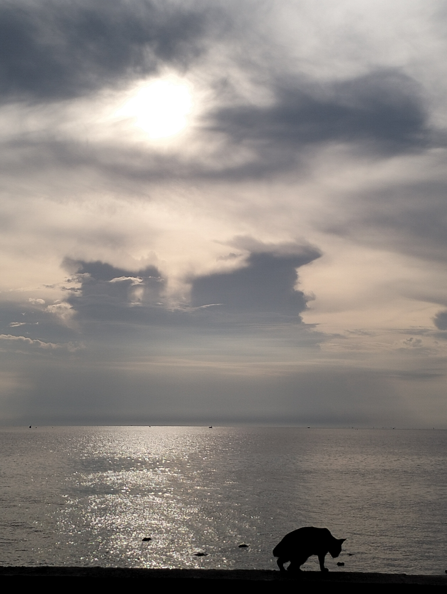 The image shows a body of water, possibly the ocean, under a cloudy sky with the sun partially obscured. The water reflects sunlight, creating a shimmering effect. In the foreground, the silhouette of a cat is visible along the edge of what appears to be a seawall or embankment. Small boats are visible on the horizon. The location is Lhokseumawe, Indonesia.