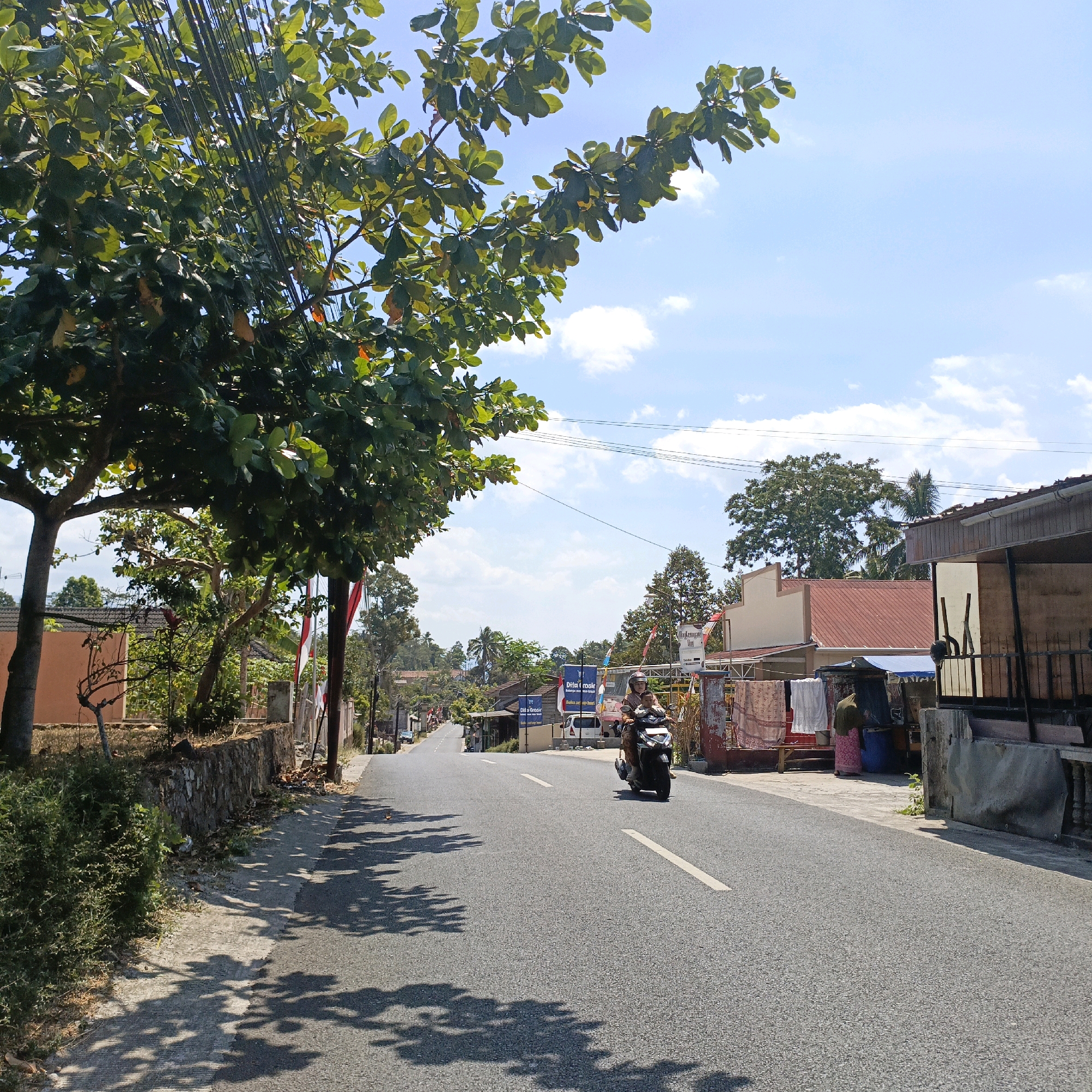 The image depicts a street scene in Krajan Lor, Indonesia, on a sunny day. A paved road runs through the center of the frame, with a gentle uphill slope. Lush green trees with large leaves overhang the left side of the road, casting dappled shadows on the asphalt. On the right side of the road, there are several buildings, some appearing to be homes or small businesses. Laundry is hung out to dry in front of one of the buildings. A person wearing a helmet rides a scooter with a passenger on the road, heading towards the viewer. The sky is a clear blue with a few scattered white clouds. The environment appears to be a rural or semi-urban area, characterized by vegetation, modest buildings, and a local mode of transportation.