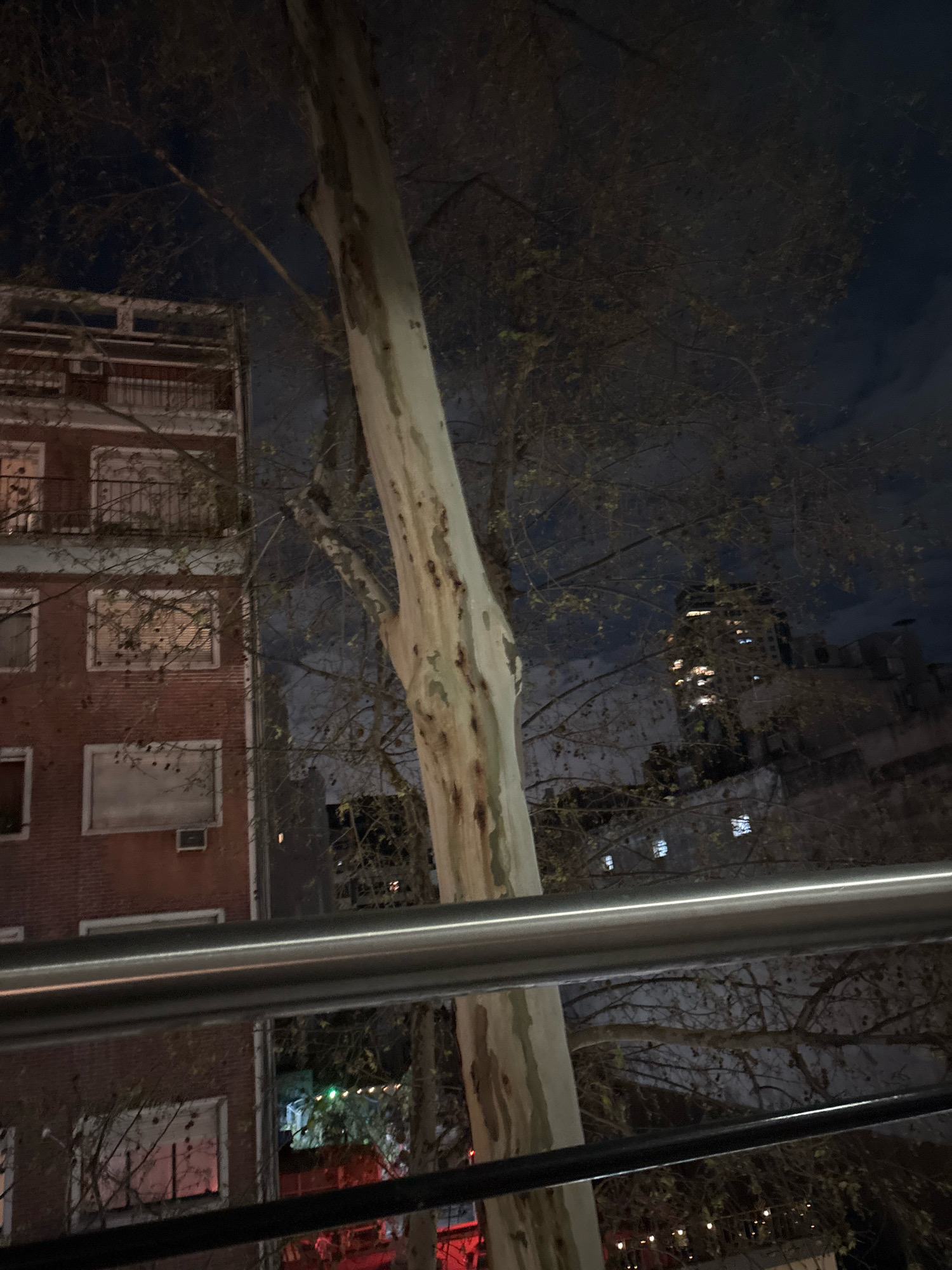 A nighttime, slightly out-of-focus, medium shot of a street scene in the Palermo neighborhood of Buenos Aires, Argentina, taken from an elevated position, possibly a balcony or overpass. In the foreground, a thick, light-colored tree trunk with mottled bark is prominent, extending vertically through the frame. Behind it, a brick building with multiple windows and balconies is visible to the left. Further in the background, a tall building with illuminated windows stands against a dark, cloudy sky. The scene suggests an urban environment at night with ambient artificial lighting.