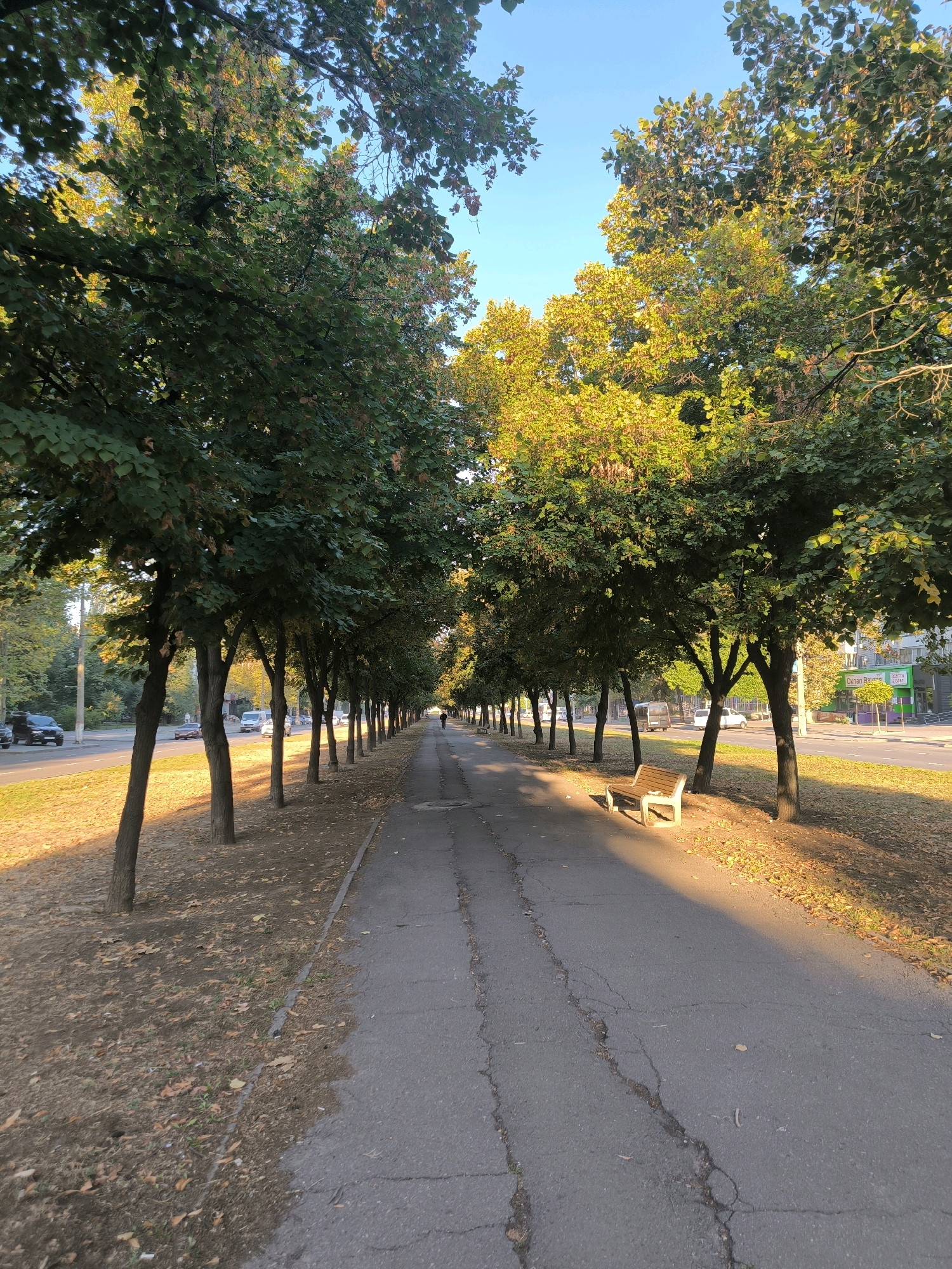 An asphalt pathway for pedestrians runs through a park-like area lined with trees, with a street and buildings visible beyond. The pathway is cracked and sparsely scattered with fallen leaves. A wooden bench is situated on the right side of the pathway, catching the sunlight. The trees have green foliage, with some leaves exhibiting yellowing and browning, suggesting it is autumn. The sky is clear and blue. A single person is walking away from the camera on the pathway in the distance. Cars and a van are driving on the street to the left of the pathway. The lighting indicates it is either early morning or late afternoon. The scene depicts a public space within the city of Mykolaiv, Ukraine.