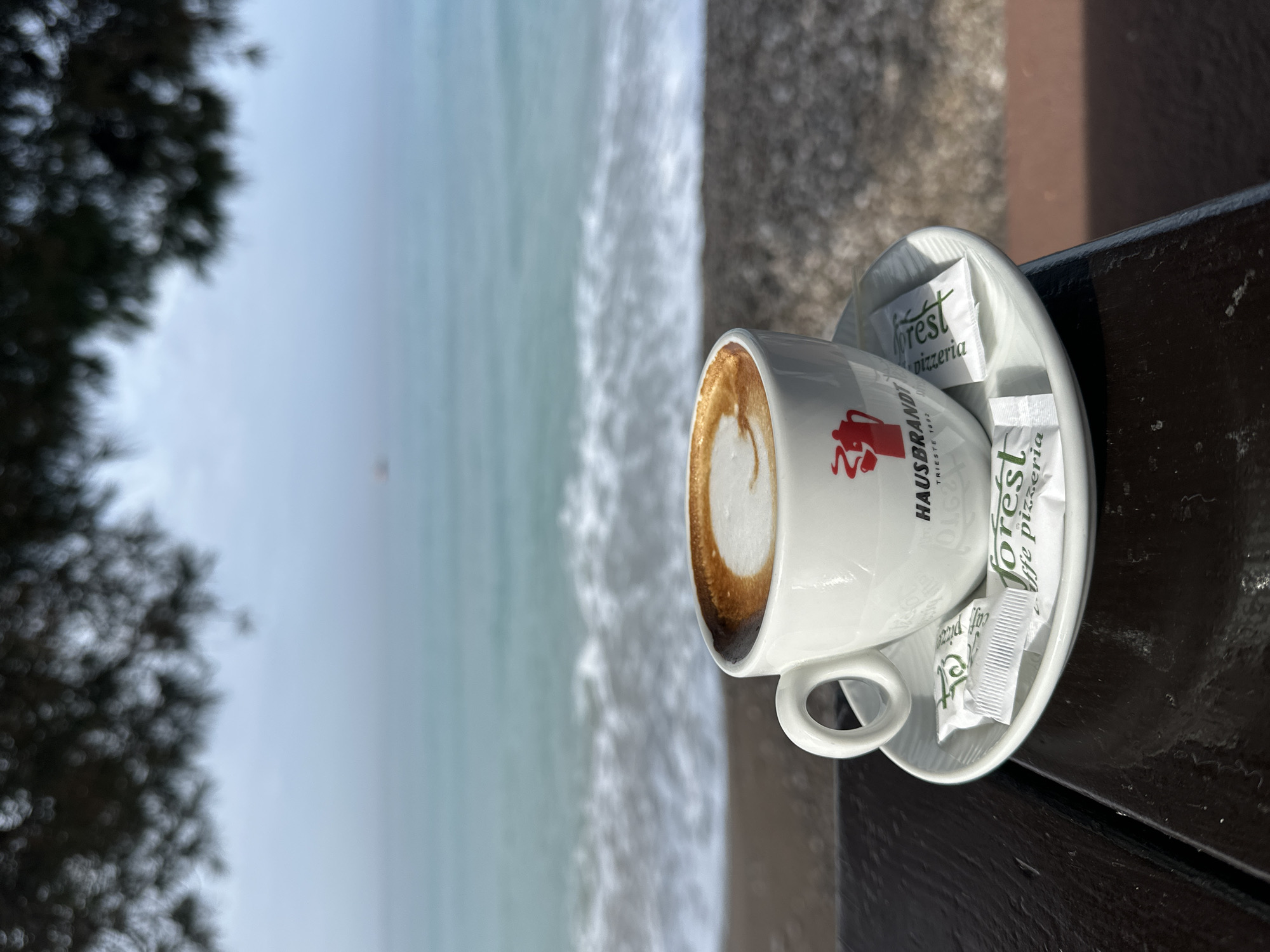 A close-up shot captures a white cup of cappuccino, adorned with the "HAUSBRANDT TRIESTE 1892" logo and a red image, positioned on a white saucer. Alongside the cup and saucer are sugar packets branded with "Forest caffe pizzeria." The cappuccino is set on a dark-colored table or surface. The background reveals a seascape, likely the Adriatic Sea, with waves and a rocky shoreline. A blurred green tree is visible to the left. The location is likely Bar, Montenegro, inferred from the "Forest caffe pizzeria" branding. No people are visible.