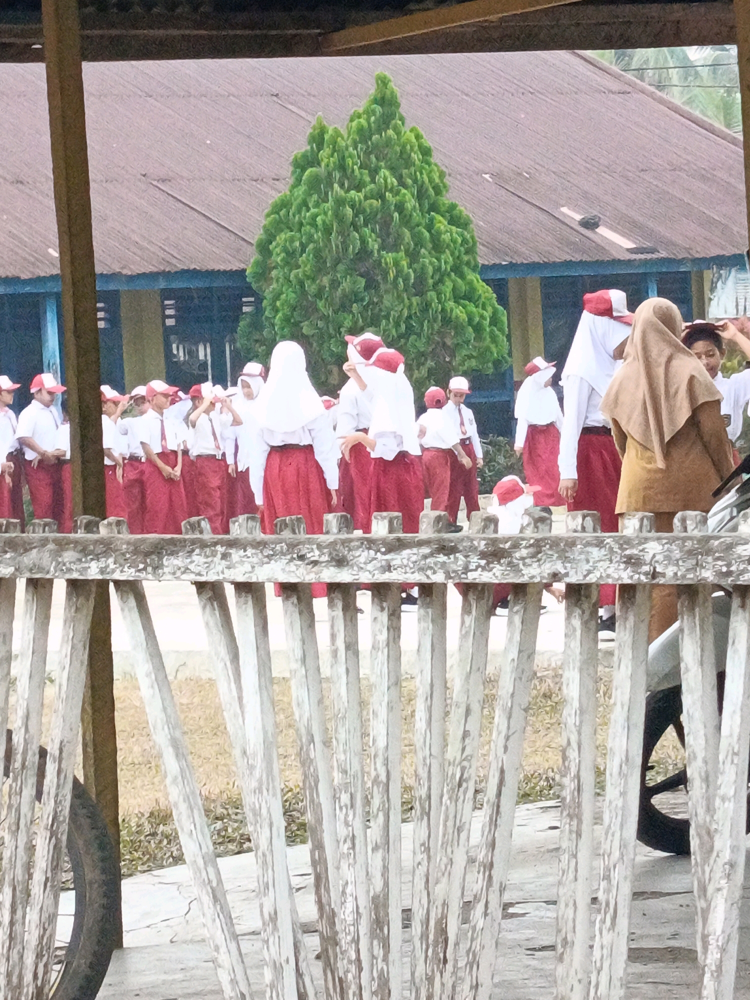 In the city of Megang Sakti II, Indonesia, a group of students in uniform are gathered outdoors. The students, predominantly young girls, are wearing white shirts and red skirts, with some girls also wearing red and white caps and others wearing headscarves. They appear to be in a school setting, with a building with a corrugated metal roof visible in the background. A large, evergreen tree stands behind the students, and a weathered wooden fence runs across the foreground, partially obscuring the view of the students and the surroundings. The ground appears to be paved in some areas and covered with dry grass and dirt in others. The overall atmosphere suggests a school assembly or activity taking place during the daytime.