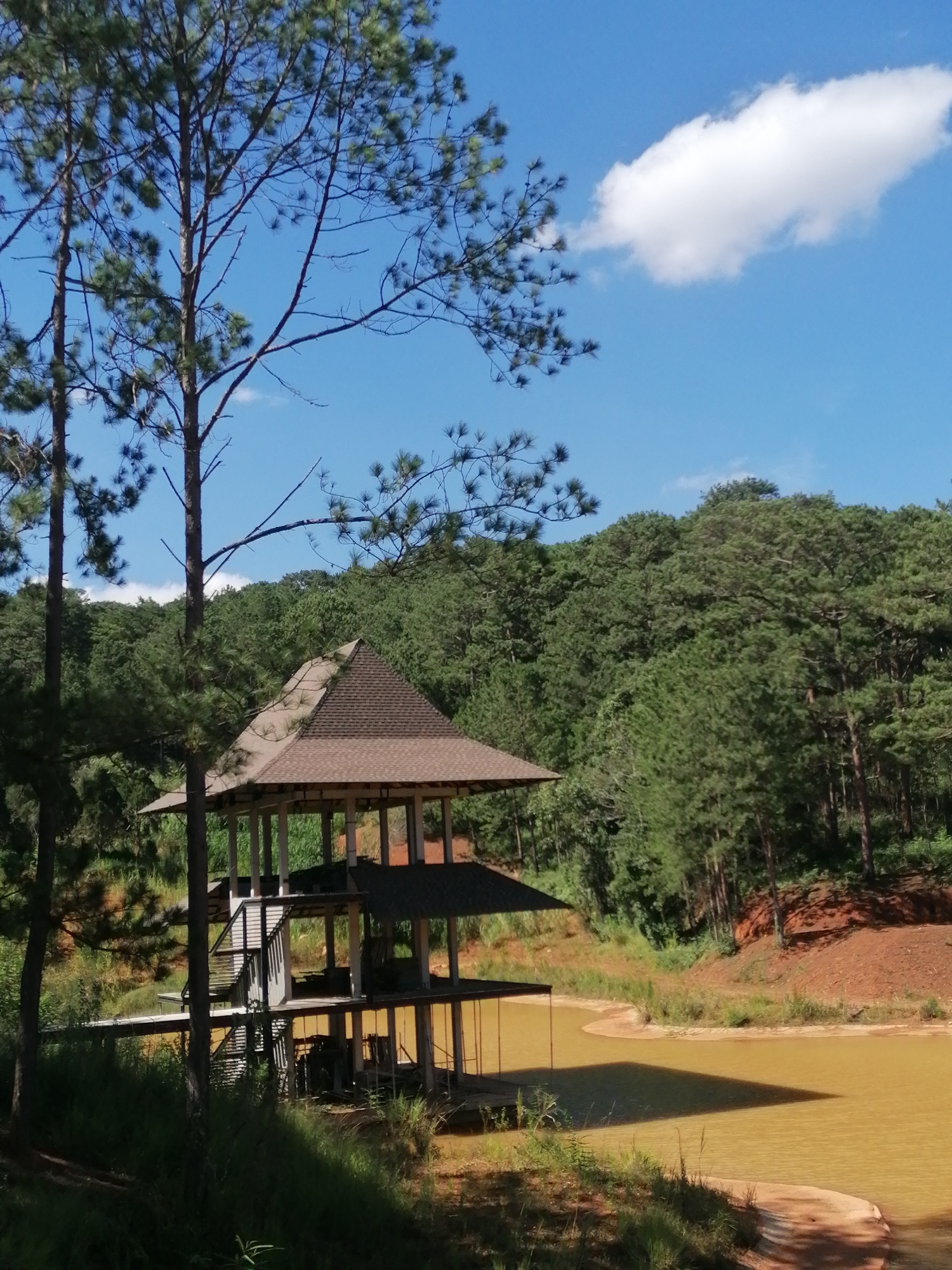 The image depicts a multi-level gazebo situated beside a body of murky, yellowish water. The structure is open-air with a dark, shingled, pyramidal roof. Vertical supports and open walkways are visible on each level, and a staircase leads up one side. The gazebo is surrounded by lush greenery, including tall pine trees in the foreground and a dense forest covering a hill in the background. The sky is a clear blue with a single, wispy white cloud. The area appears to be a naturalistic park or recreation area, potentially located in the vicinity of Da Lat, Vietnam, known for its pine forests and cooler climate. The water's surface shows subtle ripples and reflections of the surrounding environment. There are no people or animals visible in the scene.