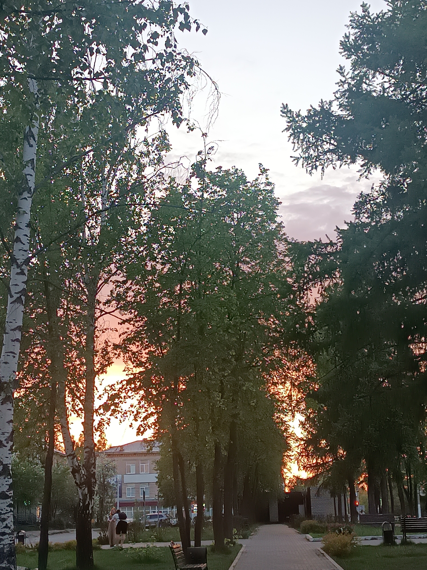 The image captures a street scene at dusk in Chaikovsky, Russia. The perspective is from ground level, looking down a pedestrian path lined with trees. On the left are birch trees with distinctive white bark and green leaves. The right side features denser, darker green trees. The sky is visible through the trees, revealing a pink and orange sunset. In the midground, a building is partially visible between the trees. In the lower-left corner, two people are standing on the grass. A paved walkway leads into the distance. Benches and trash receptacles are positioned along the sides of the walkway. The scene is bathed in a warm light due to the setting sun.