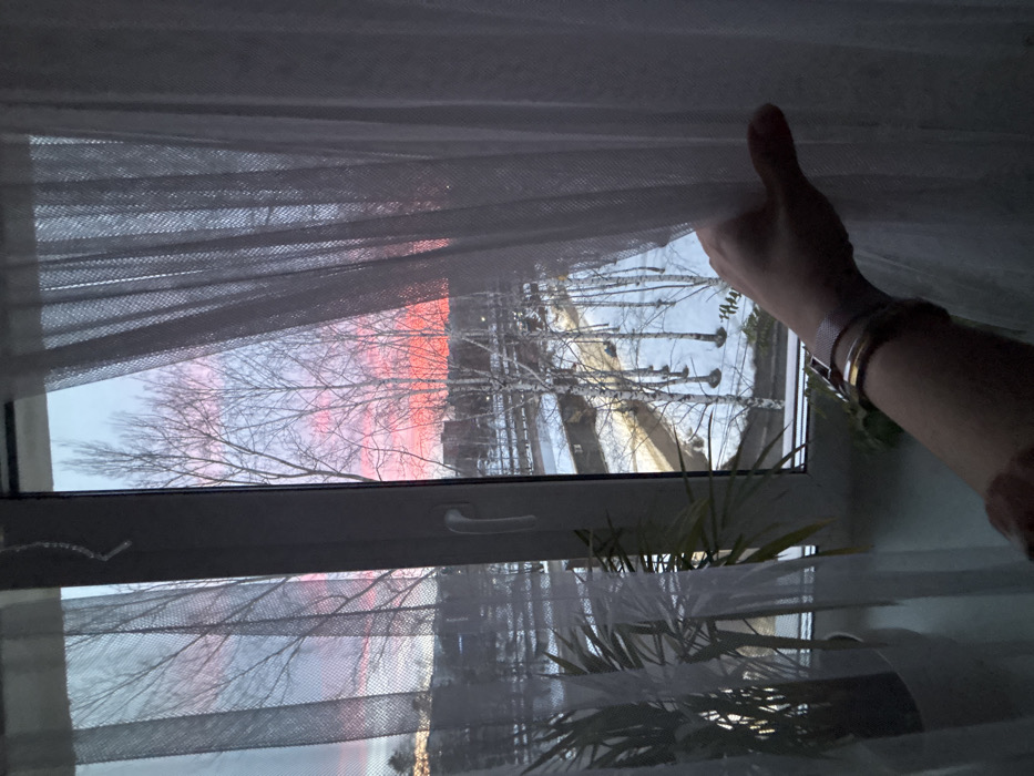 The image depicts an interior view looking out a white-framed window in the city of Chaikovsky, Russia, during what appears to be a sunrise or sunset. On the right, a human forearm and hand, wearing a metallic mesh watch and two thin bracelets, are visible, actively pulling back a sheer white curtain. Another sheer white curtain partially obscures the view on the left. The interior windowsill holds a large potted plant on the left and a smaller plant partially obscured. Outside, the landscape is covered in snow, with numerous bare deciduous trees, likely birches, populating the scene. A road or paved area is visible through the trees, and distant buildings with dark rooftops are silhouetted against the horizon. The sky exhibits a prominent and intense pink-orange coloration near the horizon, fading to a lighter blue-grey higher up. A thin, clear decorative element hangs vertically from the top left corner of the window frame.
