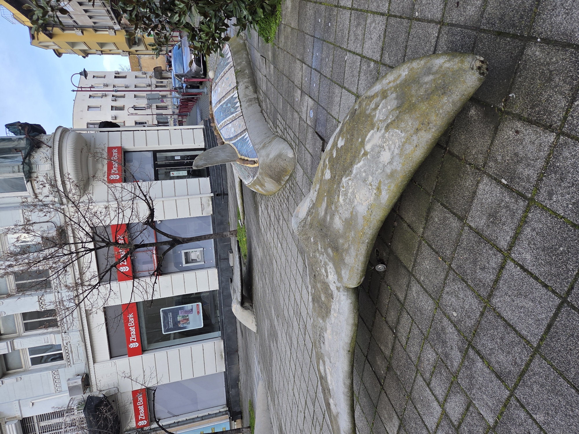 The image presents an urban street scene in Burgas, Bulgaria, characterized by public art installations and architectural elements. In the immediate foreground, a weathered, elongated concrete sculpture, discolored with green moss or lichen, lies on a gray square-tiled sidewalk, resembling a whale's fluke or fin. Behind it, another substantial concrete sculpture is visible, featuring an upper surface adorned with a mosaic of blue, white, and grey geometric tiles, and a small, upward-projecting fin-like element. A third, smaller concrete form is partially visible further to the left. The tiled sidewalk exhibits moss growth within its joints.
In the midground, a multi-story building, light in color and featuring classical architectural details such as decorative window frames and cornices, dominates the left side. This building houses "Ziraat Bank," indicated by multiple red signs on its ground-floor facade. An ATM is integrated into one of the bank's exterior walls, and a promotional display is visible through a window. A leafless deciduous tree stands in front of the bank. To the right, a narrower street or alley extends into the background, lined with red bollards and a black street lamp. Several vehicles, including a silver sedan, are parked along this street. Further down, additional multi-story buildings are visible, including a white structure and a partial view of a yellow building on the far right. A dense, dark green bush with large leaves occupies the right edge of the foreground. The sky is partially visible as a pale blue with scattered clouds, indicating daylight conditions. No individuals are present within the frame.