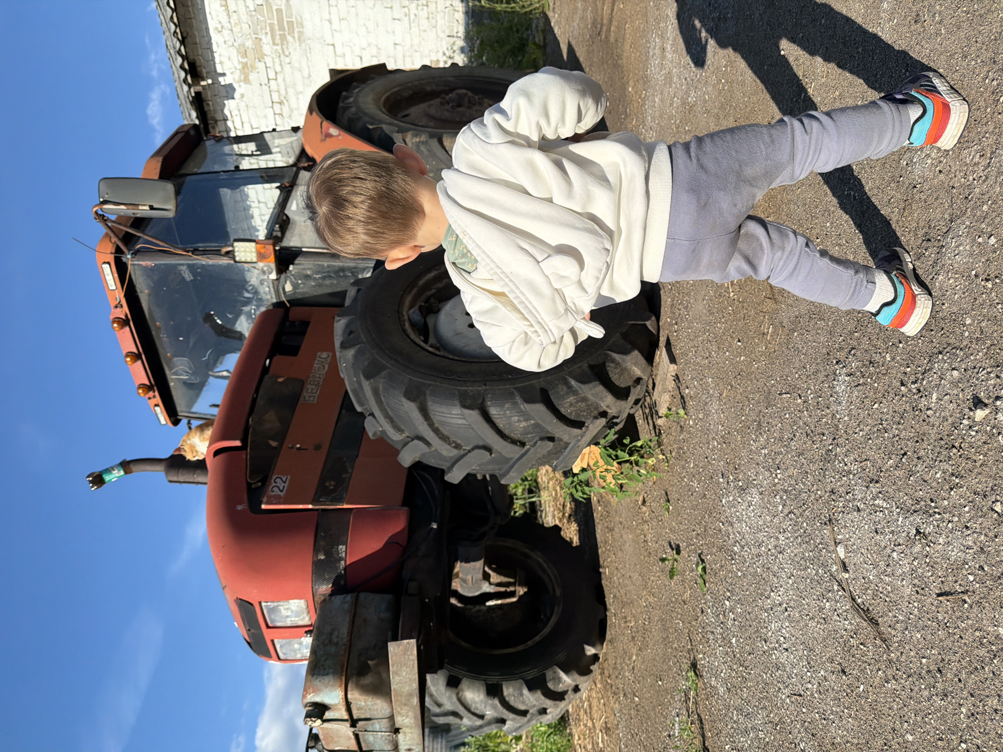 The image shows a young boy standing near a red tractor. The boy is wearing a white hoodie and grey pants. He is looking down at something on the tractor. The tractor is large and appears to be old. It is parked on a gravel surface. In the background, there is a white brick building and a blue sky. The sun is shining, casting shadows on the ground. The image appears to have been taken on a sunny day. There is some text visible on the tractor, including the number "22" and what appears to be a brand name. The setting suggests a rural or agricultural location, possibly a farm.