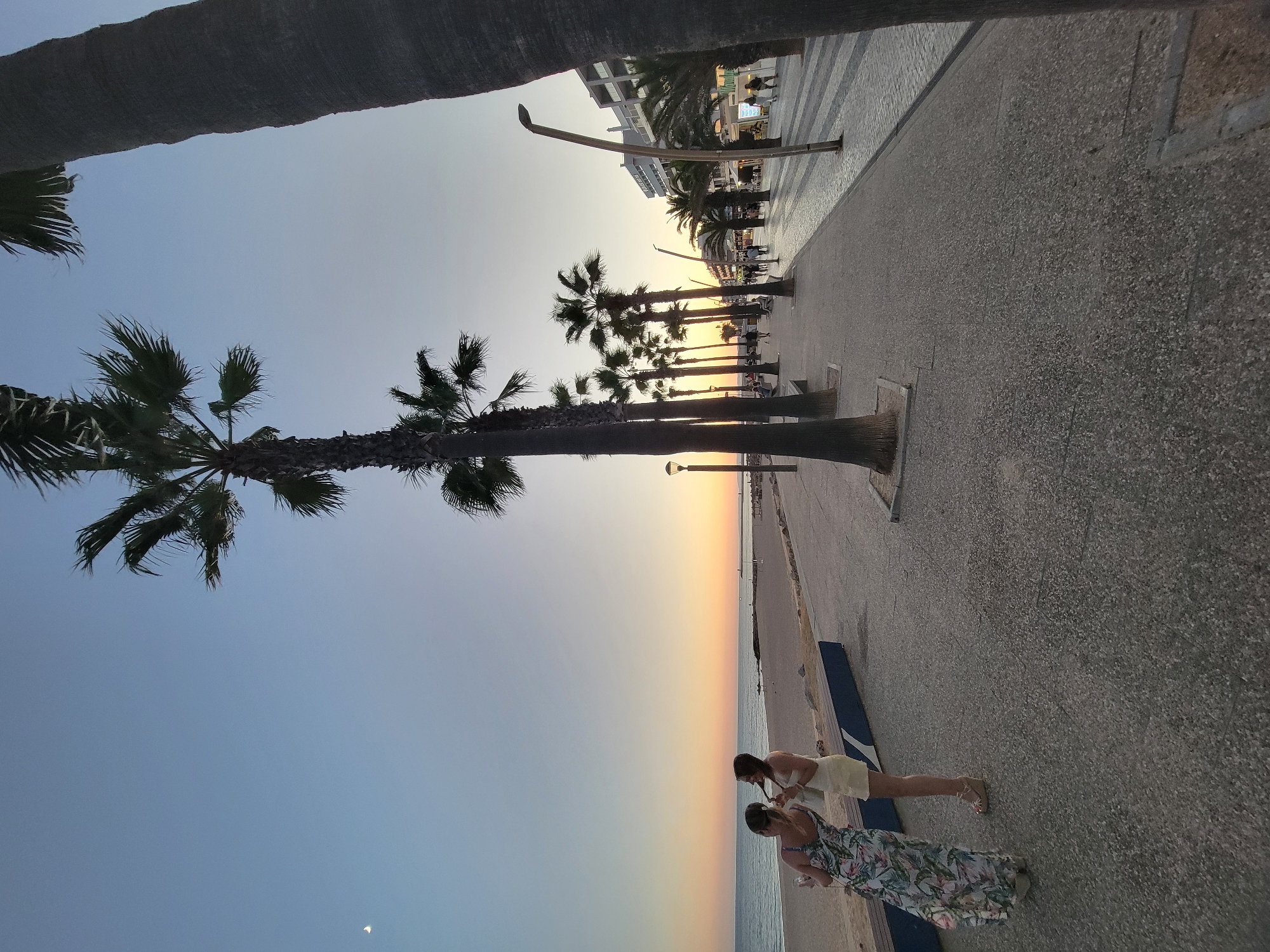 In Quarteira, Portugal, the scene depicts a wide promenade adjacent to a beach at dusk. Two women are visible in the foreground, facing away from the camera, with one holding a drink. A low blue bench is situated behind them on the sand. The promenade is lined with tall palm trees, casting shadows on the textured pavement. In the background, a street with buildings, lampposts, and several other pedestrians is visible, illuminated by the fading sunlight. The sea stretches to the horizon, with a sliver of the moon visible in the clear, pale sky.