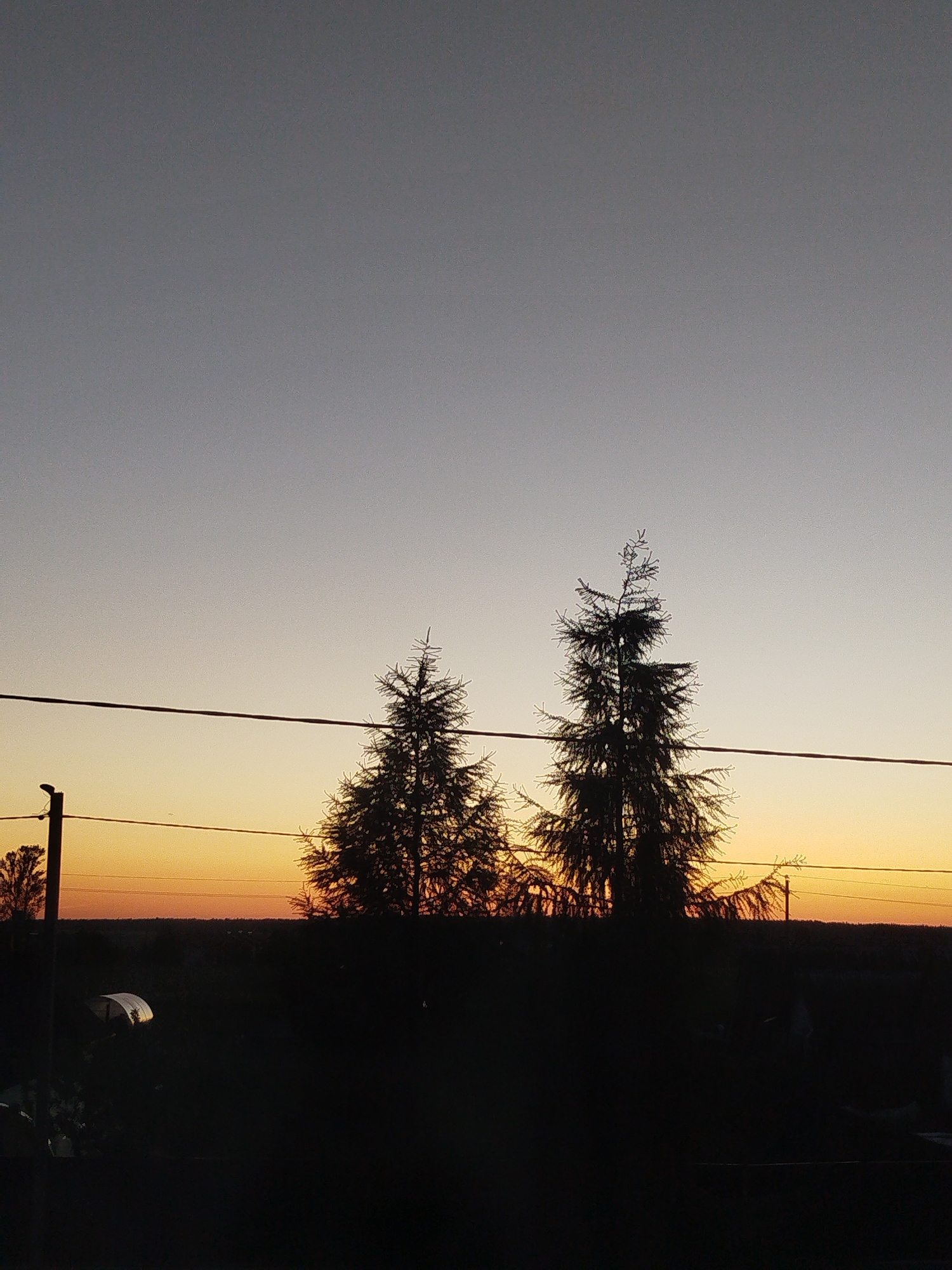 The image depicts a silhouette of trees and a structure against a twilight sky. The sky transitions from a pale gray at the top to a warm orange hue near the horizon. Two prominent evergreen trees stand silhouetted, their branches detailed against the colorful sky. A dark, horizontal line, possibly a power line, stretches across the frame. In the lower portion of the image, a dark silhouette of the ground and vegetation is visible. To the left, a tall, thin pole with what appears to be a small bird perched on top is present. Further left, another tree silhouette is visible. A curved, reflective structure, possibly a greenhouse or hoop house, is partially visible in the dark foreground on the left side. The overall scene suggests an outdoor environment at dusk, likely in a rural setting, consistent with the Kryvaselski Village Council, Belarus.