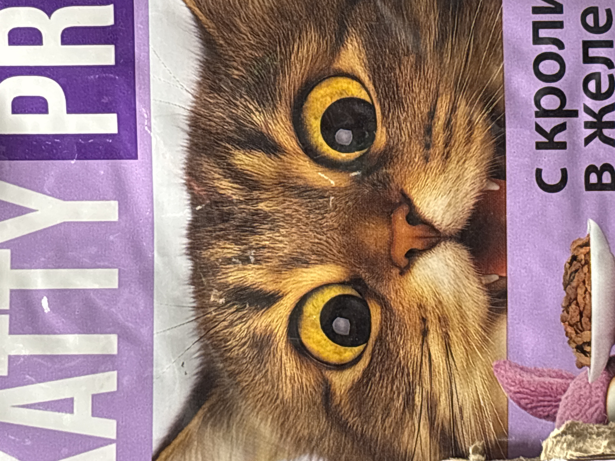 A close-up image shows part of a package of cat food. The side of the package has the word "KATTY" and "PR" vertically printed in white letters on a purple background. The front of the package displays a close-up of a brown tabby cat's face with large, yellow eyes. The cat food is advertised "With rabbit in jelly" in Russian. The overall setting suggests that it is a product for sale in Russia, but the exact location in St. Petersburg cannot be determined from the image alone.