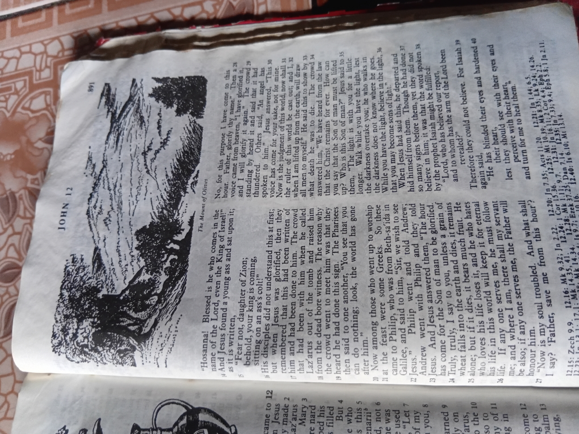 The image shows an open Bible, with the page angled towards the viewer. The book appears to be old, with yellowed pages and a worn binding. The text is printed in two columns, with a black and white illustration of a landscape on the left side of the page. The illustration depicts a hilly terrain with trees.
The text on the right side of the page is from the Gospel of John, chapter 12. It describes Jesus' triumphal entry into Jerusalem and his subsequent conversations. Notable verses include Jesus' words about glorifying God's name, the crowd's reaction to him, and his teachings about the grain of wheat dying to bear fruit. The Bible is marked with a red ribbon bookmark.
The lighting suggests it might be daytime, possibly indoors, as there are no strong shadows indicative of direct sunlight. The background is out of focus, but appears to be a patterned fabric, suggesting the book is resting on a table or bed. The overall impression is one of quiet study or reflection. The text includes chapter and verse numbers, as well as cross-references at the bottom of the page, which are common in study Bibles. The page number "891" is visible at the top left. The text also includes the title "JOHN 12" and a caption "The Mount of Olives" above the illustration.