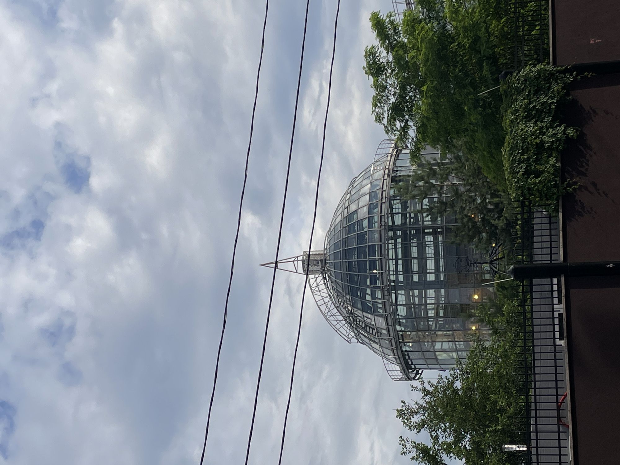 This is an outdoor, eye-level, medium shot photograph taken on a cloudy day. The primary subject is a large, multi-story glass dome structure, possibly a botanical garden or conservatory, with a prominent metal spire at its apex. The dome is surrounded by lush green trees and foliage, and a black metal fence runs across the foreground, separating the viewer from the dome and trees. Several dark power lines are visible stretching horizontally across the sky, obscuring parts of the dome and the clouds. The architecture of the dome appears modern, with visible internal structures and lighting. The overall impression is of a striking building set against a natural backdrop, partially framed by man-made infrastructure. This structure is likely the Moscow Botanical Garden of the Main Botanical Garden of the Academy of Sciences of Russia, as the dome resembles its iconic "Palm House."