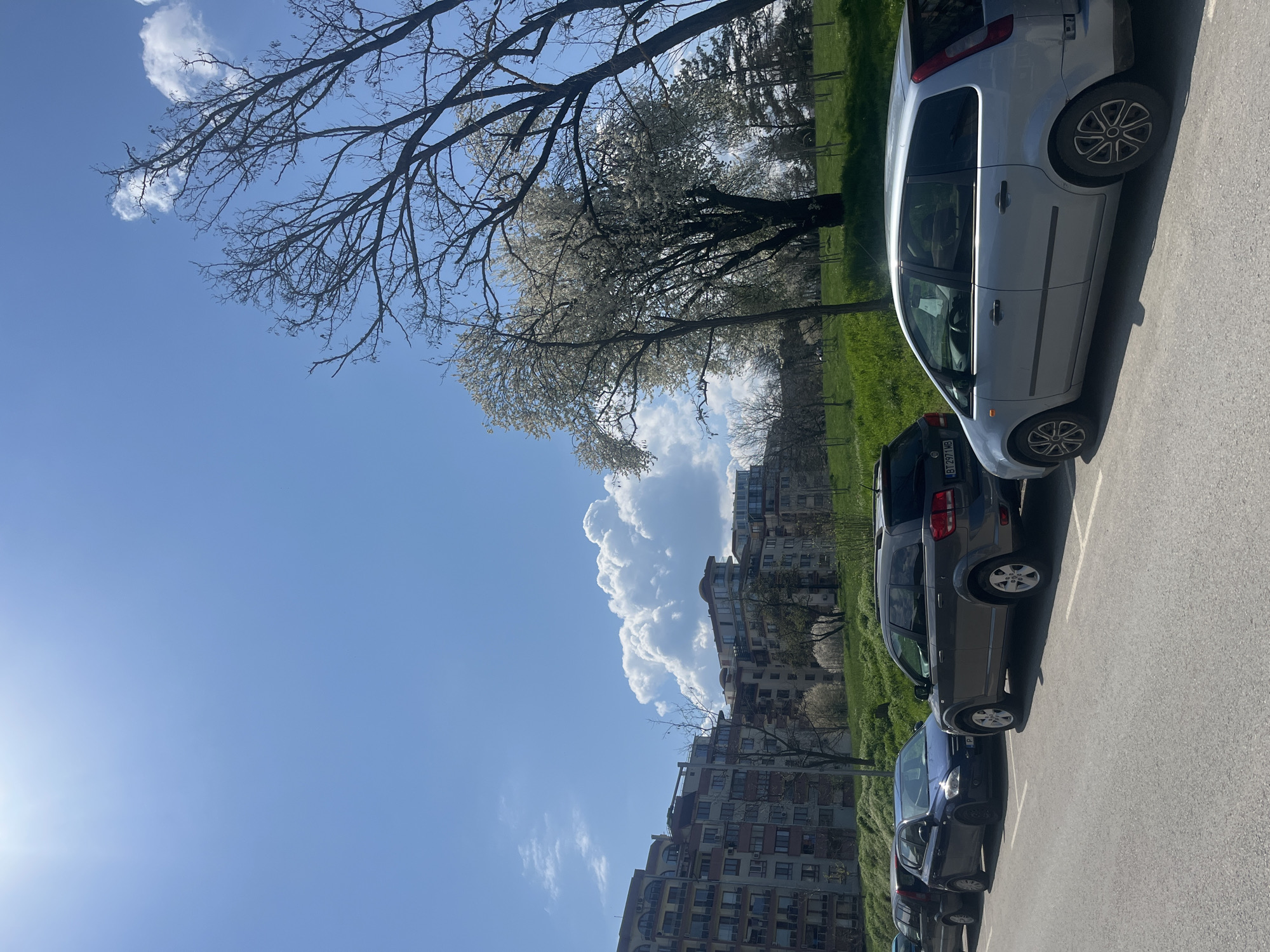 The image depicts a line of parked cars in Veliko Tarnovo, Bulgaria, next to a grassy area with trees, and a building complex. The sky is blue with scattered clouds. The parked cars are a mix of colors and sizes. A tree with white blossoms is in full bloom, obscuring the building complex in the background. The grass is green. A clear, sunny day is evident.
