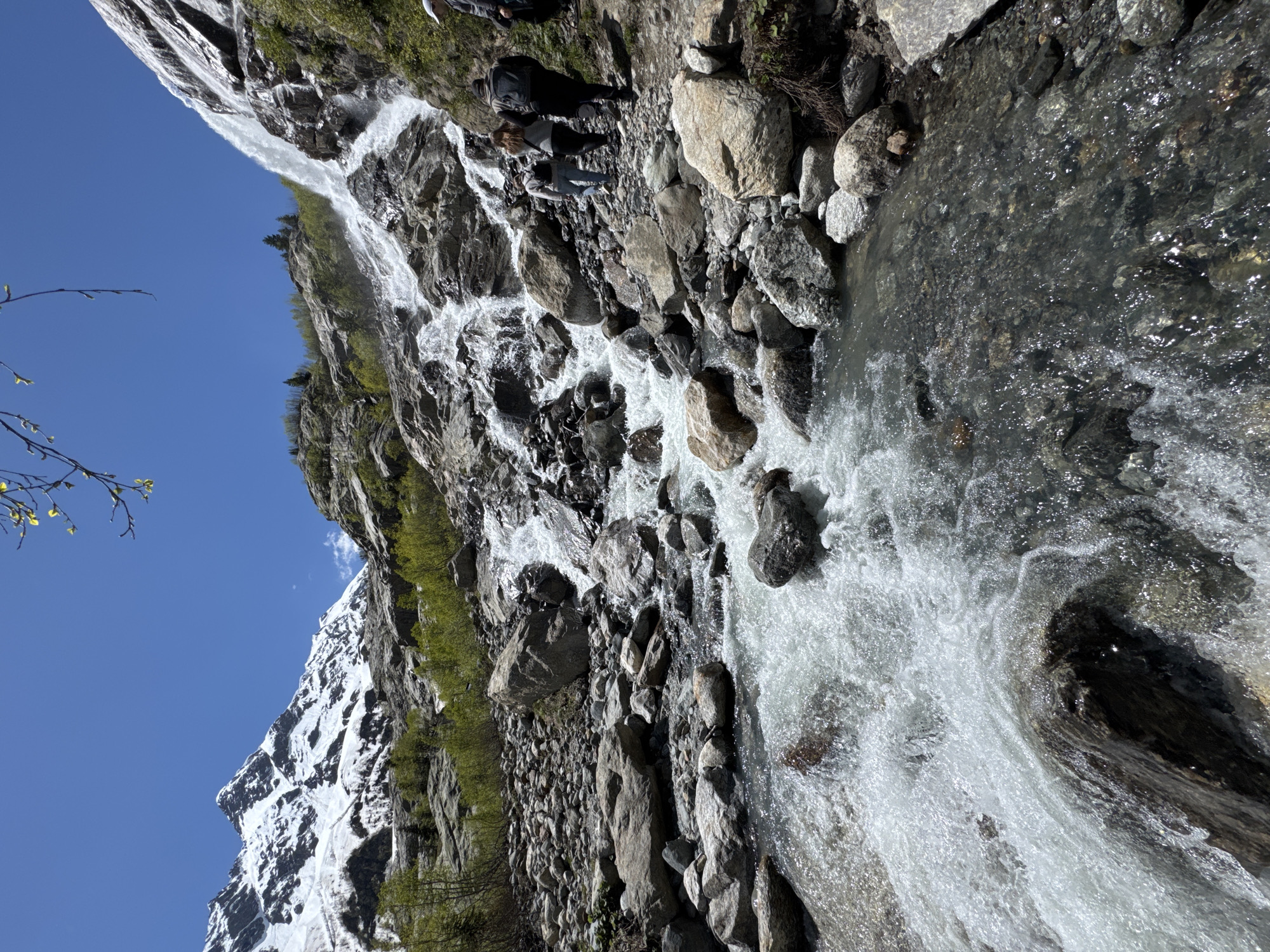 The image depicts an outdoor mountainous scene in Верхне-Тебердинское сельское поселение, Russia, on a clear, sunny day. The dominant features include snow-capped mountains, a large waterfall, a rocky river, and a group of hikers.
In the upper left quadrant, a range of snow-covered mountains with visible rocky outcrops rises against a clear, deep blue sky. A bare branch with sparse, light green nascent leaves extends into the upper right corner of the frame.
The central and right portions of the midground are dominated by a multi-tiered waterfall cascading down a steep, rocky mountainside. The water appears white and turbulent as it flows over numerous dark, wet rocks. Patches of bright green foliage, consistent with small trees or bushes, are visible on the slopes surrounding the waterfall and above the riverbed.
The lower half of the image features a wide, rocky riverbed with rapidly flowing water. In the immediate foreground, particularly on the left, the water is highly turbulent and foamy, indicating a swift current over submerged and exposed rocks. The riverbed consists of various sizes and shades of grey and brown stones. Towards the center-right foreground, the water appears shallower and clearer, allowing visibility of the riverbed.
On the right side of the river, a rough, rocky path parallels the water flow. A group of approximately four individuals is walking uphill along this path, moving away from the camera towards the base of the waterfall. From left to right within the group, one individual is wearing a gray hooded sweatshirt and light-colored jeans, carrying a black backpack. Another individual wears a grey top, dark pants, and a dark backpack. The remaining individuals are partially visible, one of whom wears a black backpack and another a white cap. The scene is brightly illuminated by sunlight, creating distinct highlights on the water and rocks.
