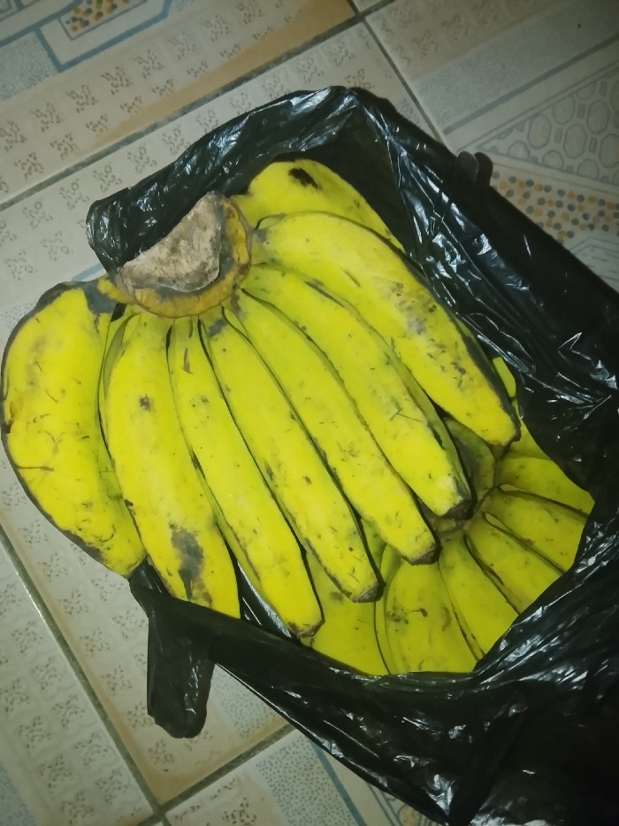 A large cluster of unpeeled bananas is contained within an open, crinkled black plastic bag, resting on a tiled floor. The bananas display a predominantly yellow hue with sporadic green undertones and scattered dark brown or black spots on their skins. The tiled floor features light-colored ceramic tiles with a repetitive, darker-toned geometric pattern and visible grout lines. The scene is observed in an indoor environment. No individuals, actions, or specific geographical markers identifying the city of Mgbidi, Nigeria, are present within the image frame.