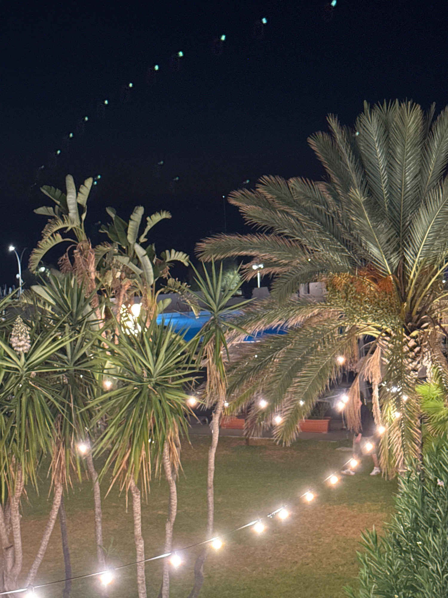 The image depicts a nighttime scene in Isola delle Femmine, Italy, with a focus on lush vegetation and ambient lighting. Several palm trees and spiky plants dominate the foreground, their fronds and leaves rendered in muted tones against the dark sky. String lights, some glowing warmly and others appearing as small, distant green dots, are strung across the scene, adding a festive and magical atmosphere. In the background, the faint outline of a swimming pool is visible, suggesting a resort or recreational area. A single individual, a person wearing dark clothing and white sneakers, is walking on the grass in the midground, illuminated by the string lights. The overall impression is one of a serene, tropical evening ambiance.
