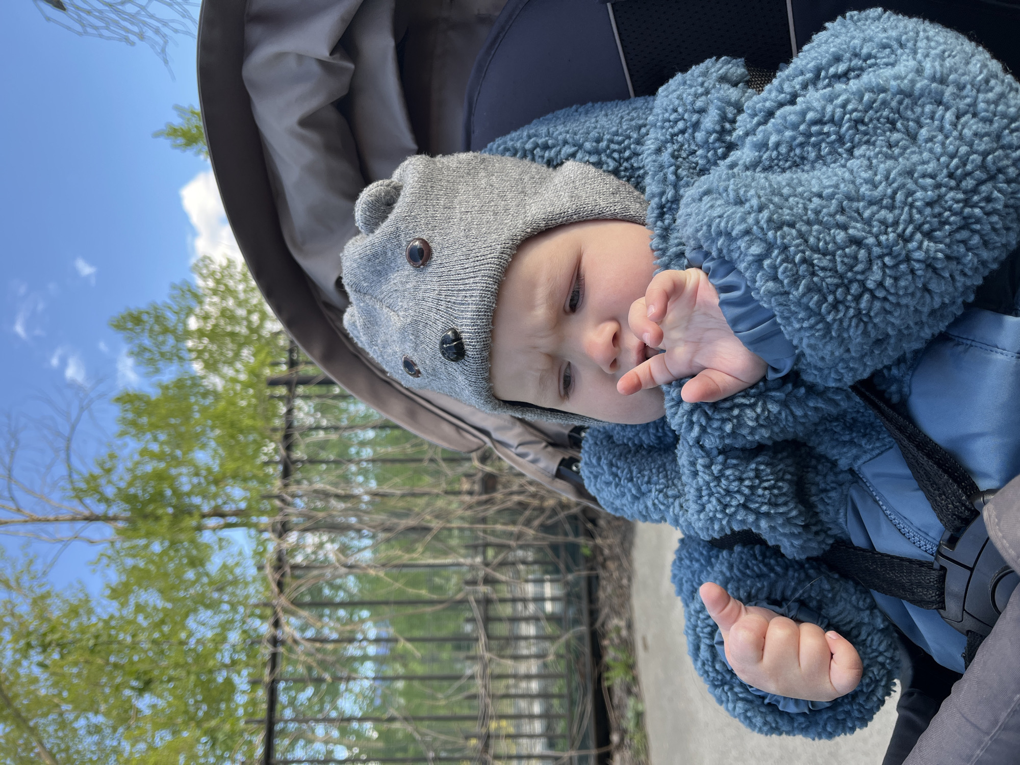 A baby wearing a gray hat with button eyes and a blue fuzzy jacket sits in a stroller. The stroller is in front of a metal fence, with green trees and a blue sky with clouds visible in the background. It is not possible to confirm the specific location of Chaikovsky, Russia from the image.