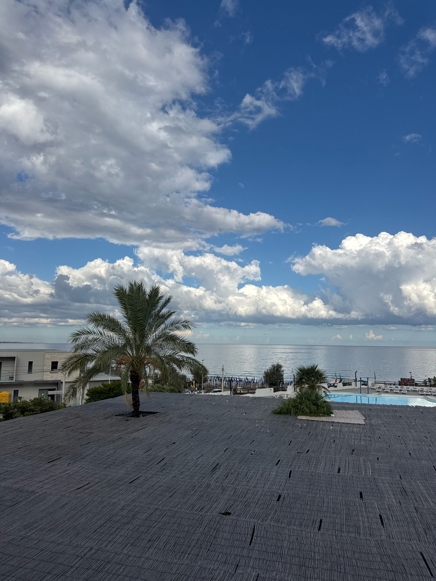 The image depicts a rooftop view in Capaci, Italy, overlooking the Mediterranean Sea. In the foreground, a large, dark thatched rooftop dominates the lower portion of the frame, with a palm tree centrally located on it. Beyond the rooftop, the sea stretches to the horizon under a partly cloudy blue sky. The middle ground reveals a beach area with rows of lounge chairs and umbrellas, a swimming pool, and some vegetation. Several buildings, one of which appears to be a hotel, are visible along the coastline. The scene is tranquil, with no people clearly visible.