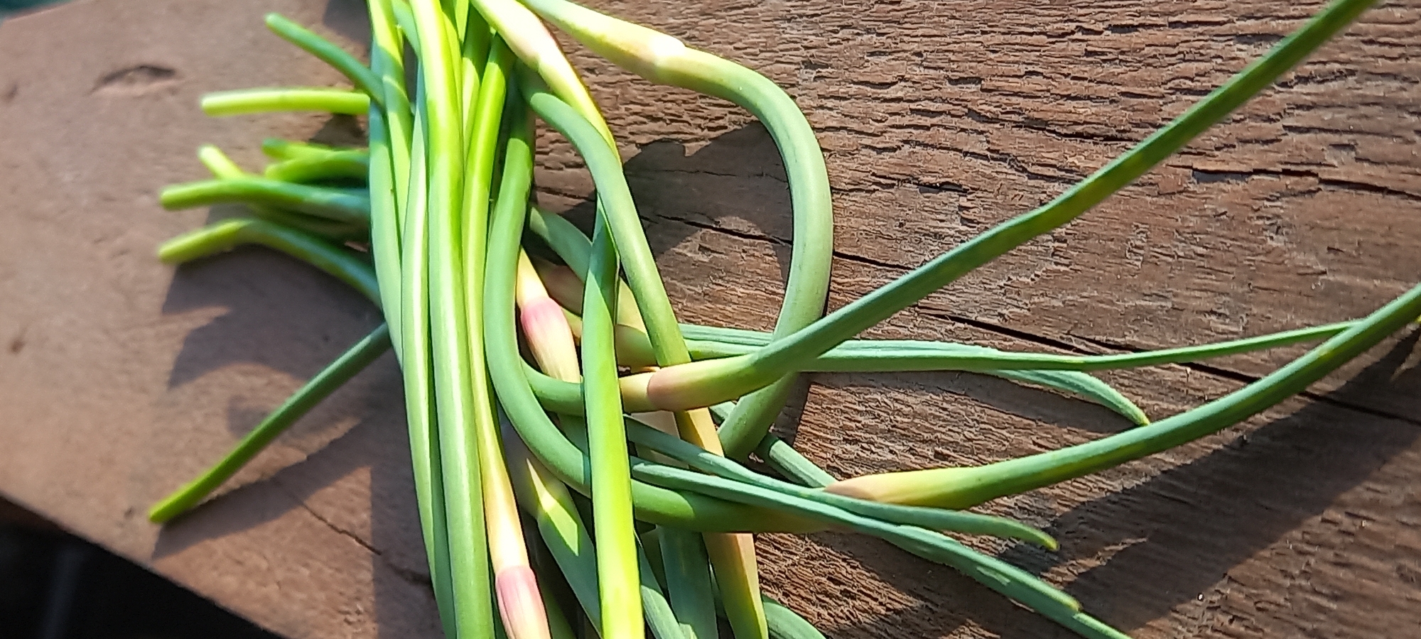 The image shows a bundle of garlic scapes resting on a weathered wooden surface. The scapes are predominantly green with some pale pink and yellowish tints. They are arranged haphazardly, with some stems clustered together and others extending outwards. The wooden surface is textured with visible grain and cracks, and is lit with strong sunlight, creating distinct shadows cast by the scapes. No people are visible. The location is not determinable from the image.