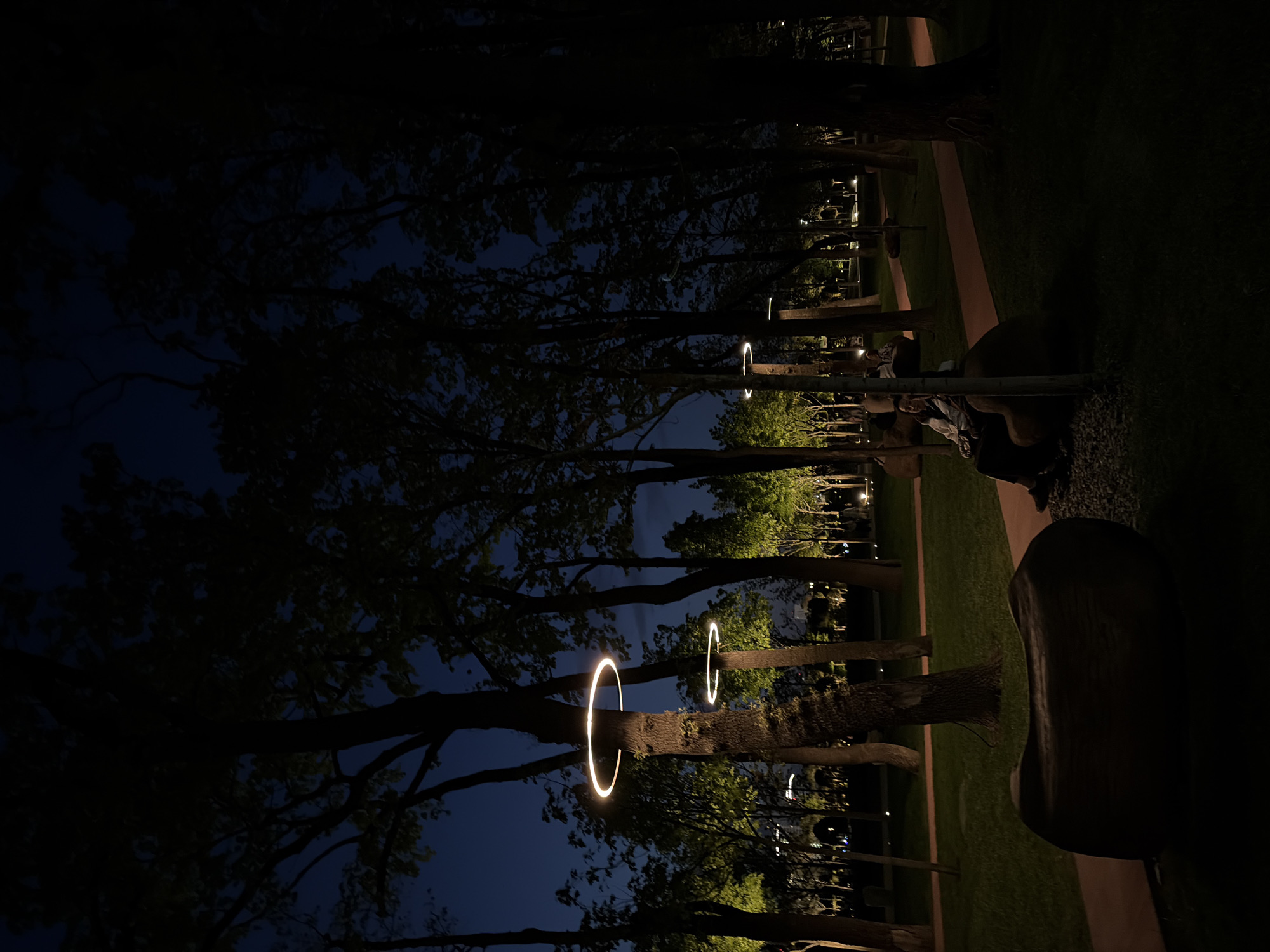The image shows a nighttime scene in a park. Several trees are illuminated with circular lights attached to their trunks. In the background, there are park benches and more lighting. A pathway is visible alongside the trees. In the foreground, large rocks are present. The location is Krasnodar, Russia.