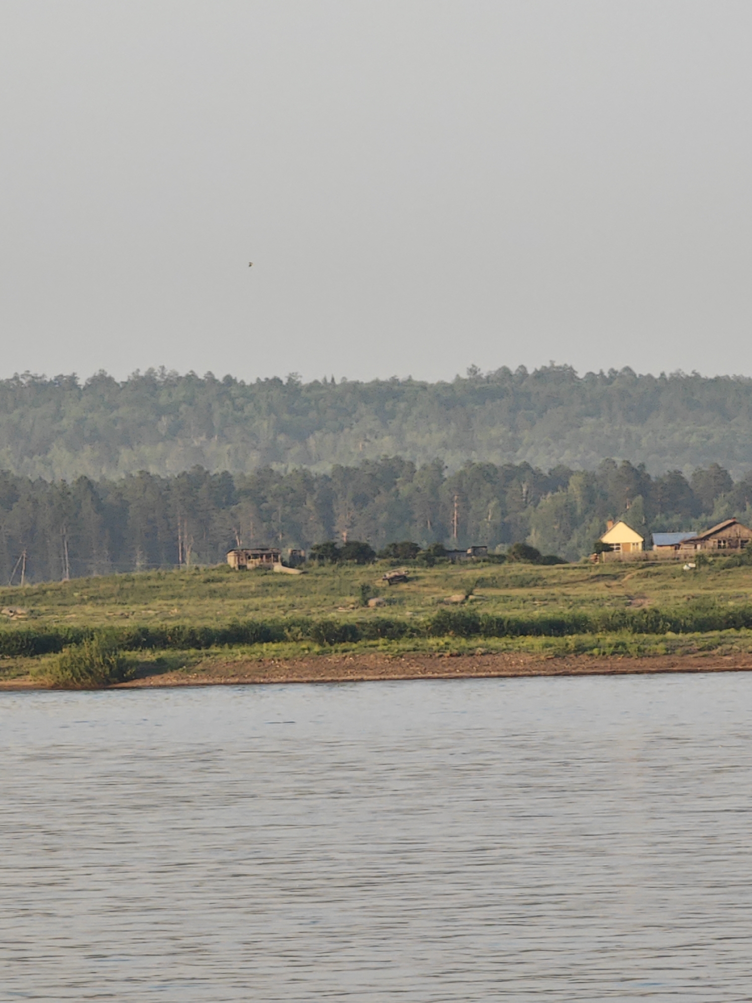 This is a landscape photograph taken from a body of water, likely the Angara River, looking towards the shore. In the foreground, the calm water surface is visible, with subtle ripples creating a textured pattern. The middle ground features a grassy embankment leading up to a small settlement on a hill. Several structures are present, including what appears to be a light yellow house with a dark roof, a weathered wooden building with a darker roof, and possibly other smaller sheds or outbuildings. The embankment is covered in green grass and some brown, rocky soil. In the background, a dense forest of pine trees stretches across a large hill or mountain. The sky above is clear and a pale, hazy blue. The overall scene depicts a rural, natural environment with a small human presence. The location is in the city of Lesosibirsk, Russia.