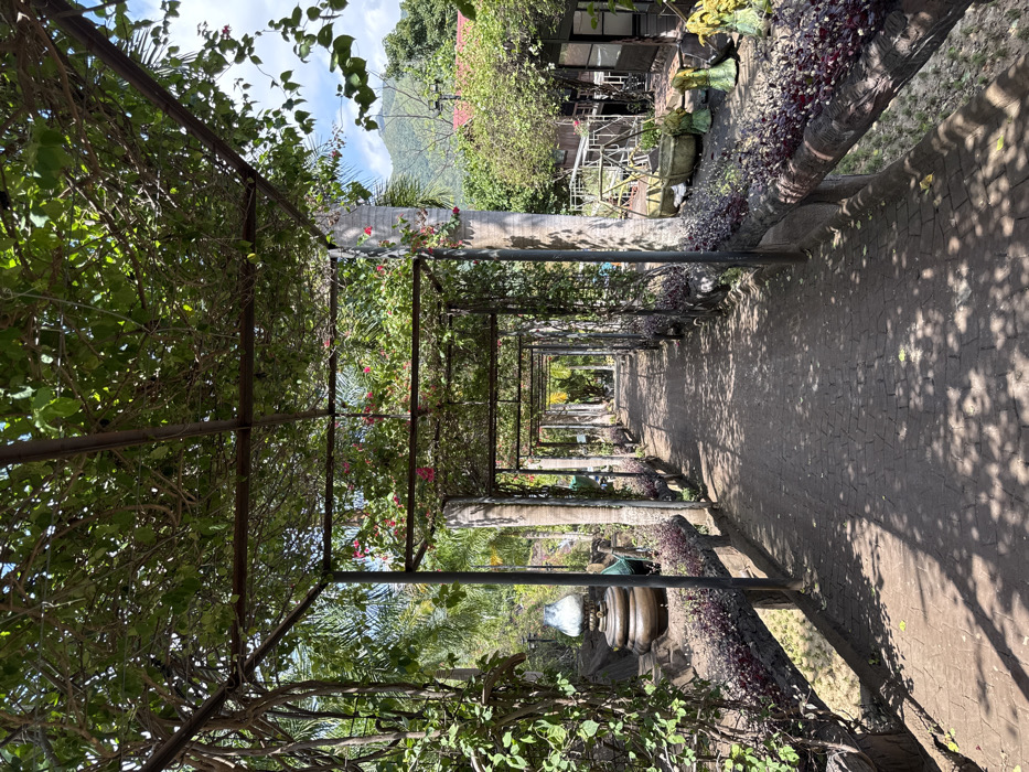 A long, straight path recedes into the distance, covered by an overhead trellis laden with green vines and pink flowers. The trellis creates a series of square frames, with columns supporting the structure on either side. Sunlight filters through the vegetation, casting shadows on the path. Lush greenery and foliage flank the pathway, adding to the natural setting. A glimpse of a distant building and hill is seen. The scene is tranquil, depicting a serene and inviting outdoor space.