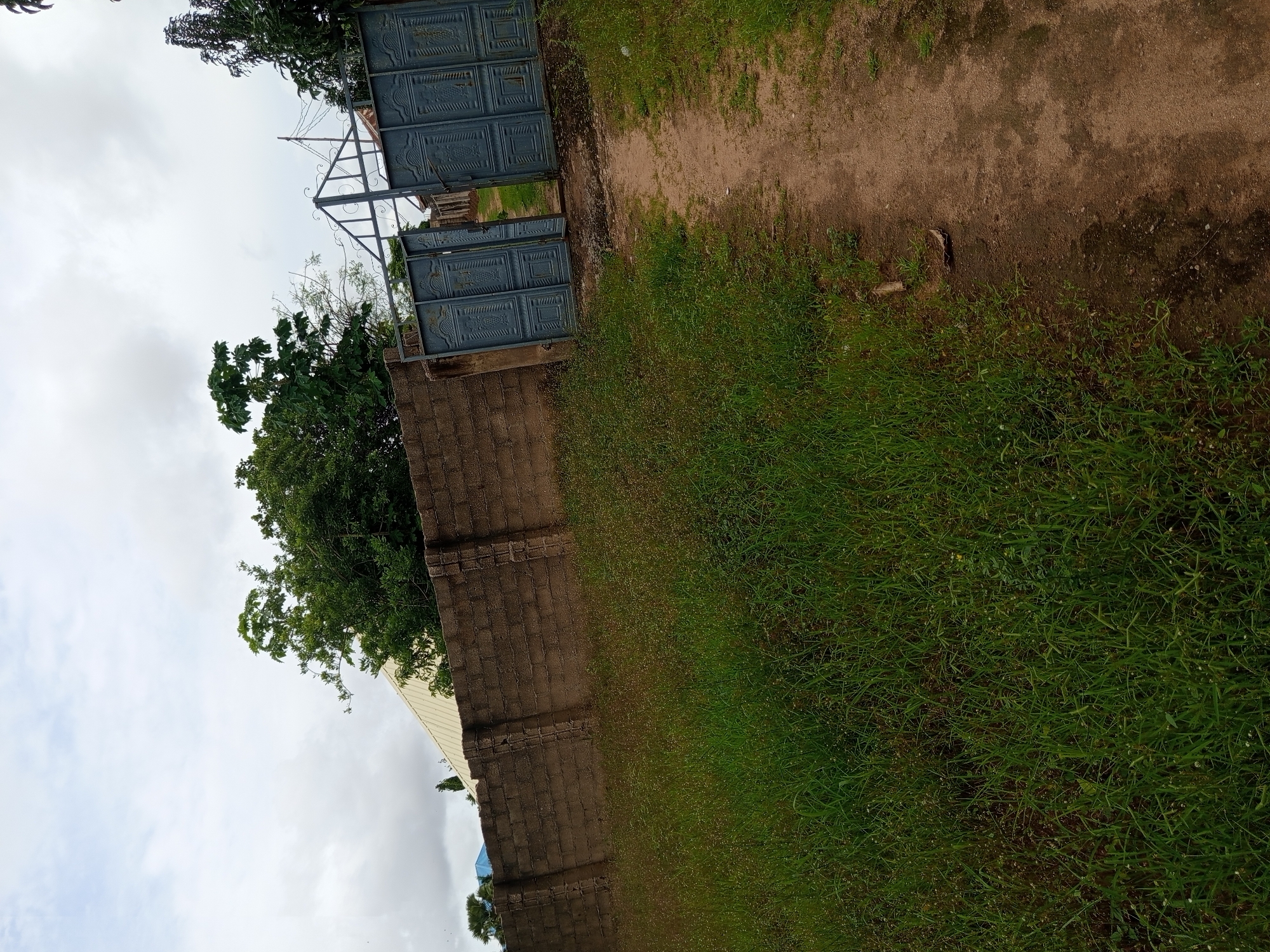 The image depicts an outdoor scene, likely in Jalingo, Nigeria, with a prominent focus on a grey metal gate, partially open, leading into a property. The gate is ornately designed with decorative elements. Adjacent to the gate is a brick wall that extends to the left of the frame. A dirt path, covered in some dry leaves and patches of mud, leads from the foreground towards the gate. To the left of the path and wall, there is an area of dense, green grass with some small flowers. In the background, behind the wall and gate, trees with lush green foliage are visible. The sky is overcast with clouds. The overall impression is one of a residential or private property entrance.