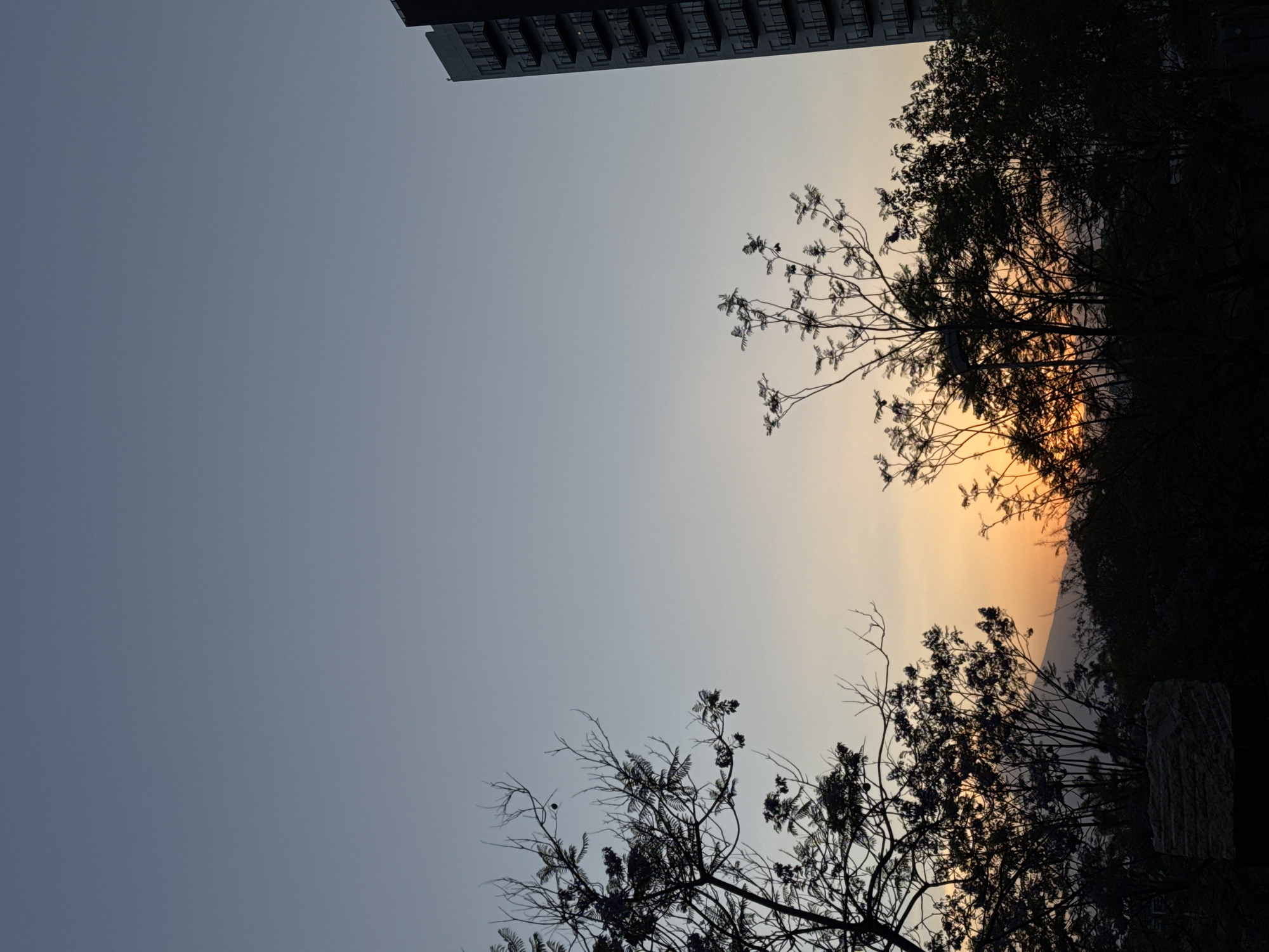 This media file captures a serene sunset scene in San Bernardino Tlaxcalancingo, Mexico. The sky dominates the composition, displaying a clear gradient that transitions from a cool blue-grey on the left to warm orange and yellow hues on the right, indicative of the late afternoon or early evening light.
Various elements are silhouetted against the bright sky. In the upper left quadrant, the distinct silhouette of a modern building, possibly an apartment complex, with visible balconies, frames the corner of the image. Along the right side and extending across the bottom, a dense cluster of trees and foliage is silhouetted in dark tones, some branches appearing bare while others show fine details of leaves. Behind these trees, particularly in the warmer glow of the sky, the hazy silhouette of distant mountains or hills is faintly visible, adding depth to the landscape. A rough-textured, light-colored stone object, possibly a large rock or part of a structure, occupies the bottom right corner.
No people or discernible activity are depicted. The weather appears clear with no visible clouds. The image evokes a sense of peace and natural beauty at dusk. There is no visible text in the media file.