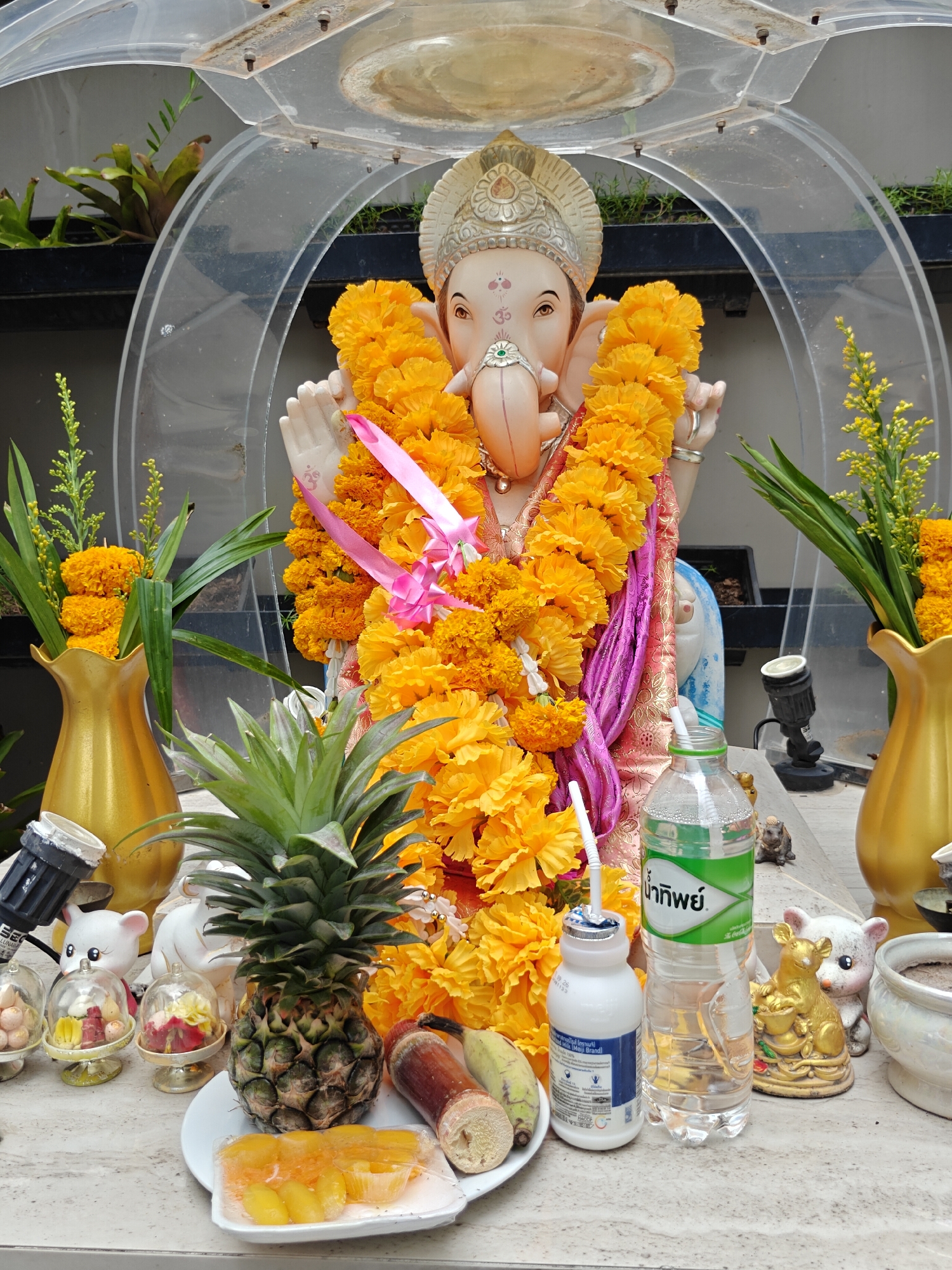 The image displays a statue of Ganesha, a Hindu deity, adorned with vibrant yellow marigold garlands. The statue is placed on a surface in what appears to be an outdoor setting. In front of the statue, there is a pineapple, a piece of sugarcane, bananas, and a plate of what looks like mango slices in syrup, all arranged as offerings. To the left of the statue, a golden vase holds a bouquet of yellow marigolds and greenery. To the right, another golden vase holds similar floral arrangements. Several small decorative items, including a golden rat figure, white ceramic bear figures, and glass domes containing miniature offerings, are also visible. A bottle of water and a white bottle with a blue label are placed in front of the deity. The background reveals a modern structure with transparent curved panels, suggesting a sheltered area, possibly a shrine or a decorative enclosure. The scene is illuminated by natural light, casting soft shadows. The overall ambiance is one of devotion and reverence, with the offerings indicating a religious or spiritual practice. The presence of Thai script on the water bottle, as well as common decorative elements found in Thai culture, suggests this location is likely in Thailand, possibly within the city of Pattaya, given the general aesthetic and common religious practices observed in the region.