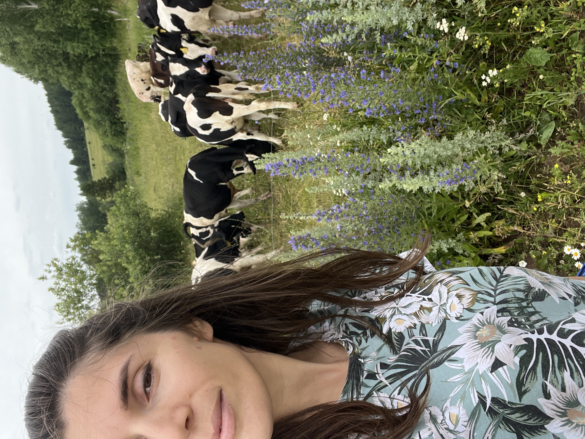 A woman is taking a selfie in a rural setting in the city of Уральское, Russia. She is in the foreground, with her face and upper body visible. She has long, dark hair and is wearing a light-colored, floral-patterned shirt. Behind her, a herd of cows is grazing in a grassy field. The cows are mostly black and white, with a few brown ones. The field is dotted with wildflowers, primarily purple and white. In the background, there are rolling hills and trees under a cloudy sky. The overall impression is one of a peaceful, natural landscape.