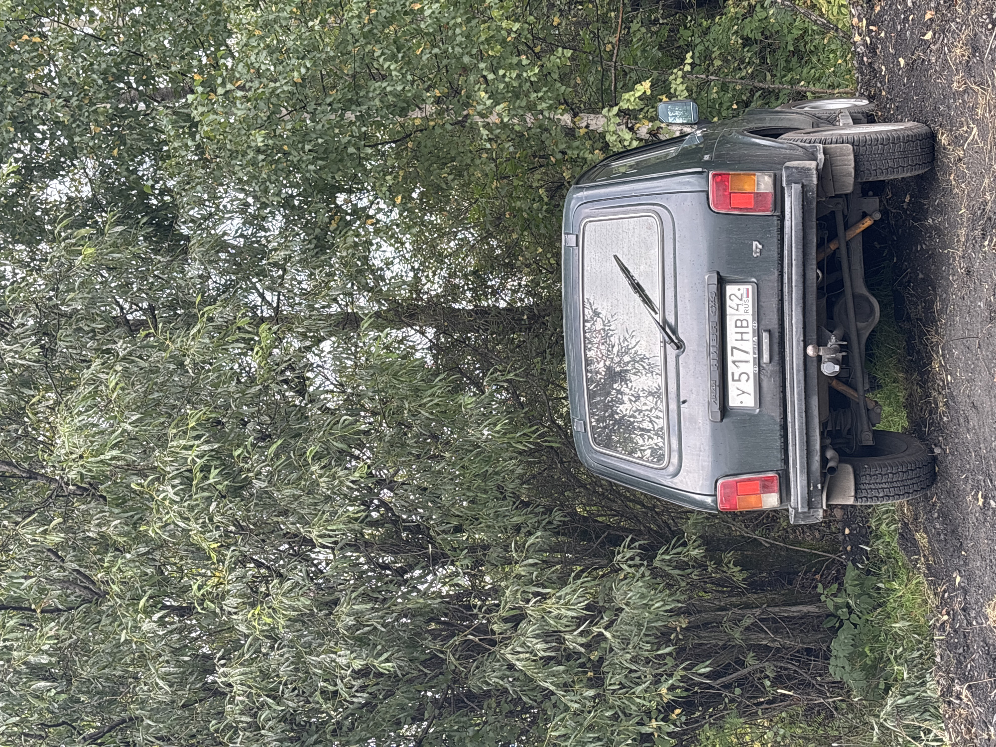 A dark green, older model Lada Niva is parked on a dirt road next to a dense wall of green trees. The car's rear is facing the camera, and its license plate, "У 517 НВ 42", is clearly visible. The road appears to be unpaved and covered with dirt and some fallen leaves. The trees are lush and green, with some sunlight filtering through the leaves. The overall scene suggests a rural or semi-rural setting, likely in the city of Бородино, Russia, given the license plate's regional code. There are no people visible in the image.