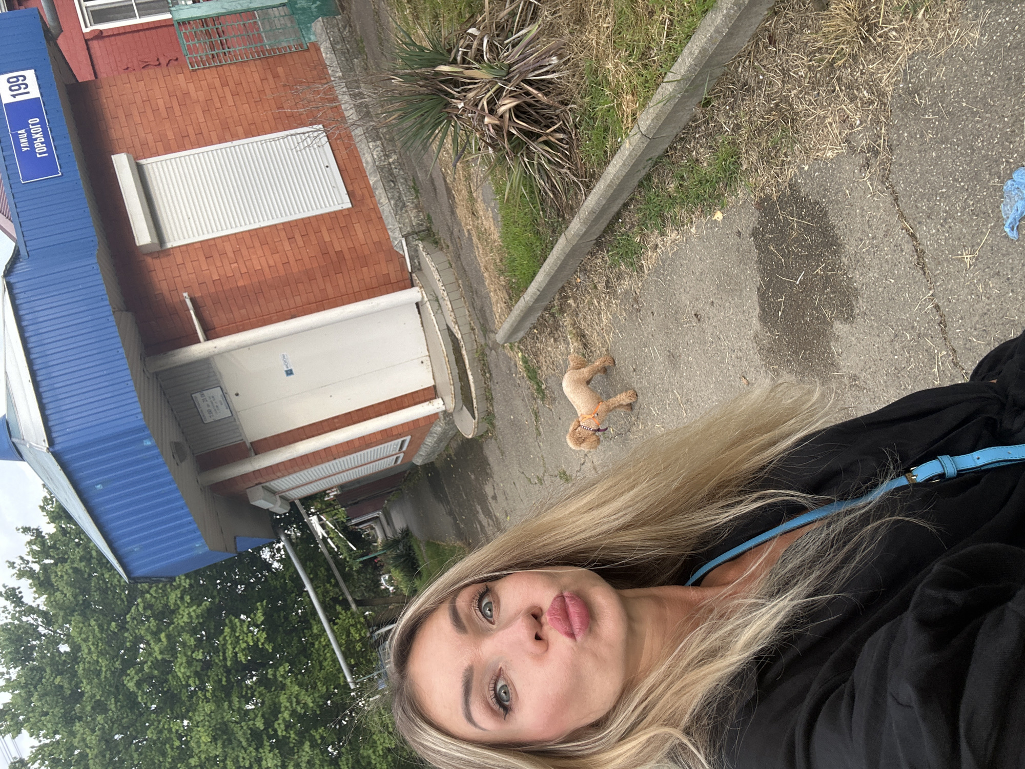 A blonde woman is taking a selfie with a small tan dog in front of a red brick building with a blue roof in Armavir, Russia. The building has a sign with Russian writing that reads "УЛИЦА ГОРЬКОГО 199", indicating it is located on Gorky Street, house number 199. The woman is wearing a black jacket and a blue crossbody bag. The dog is wearing an orange collar. The scene appears to be on a sidewalk next to the building, with grass and some dry plants. The sky is overcast.