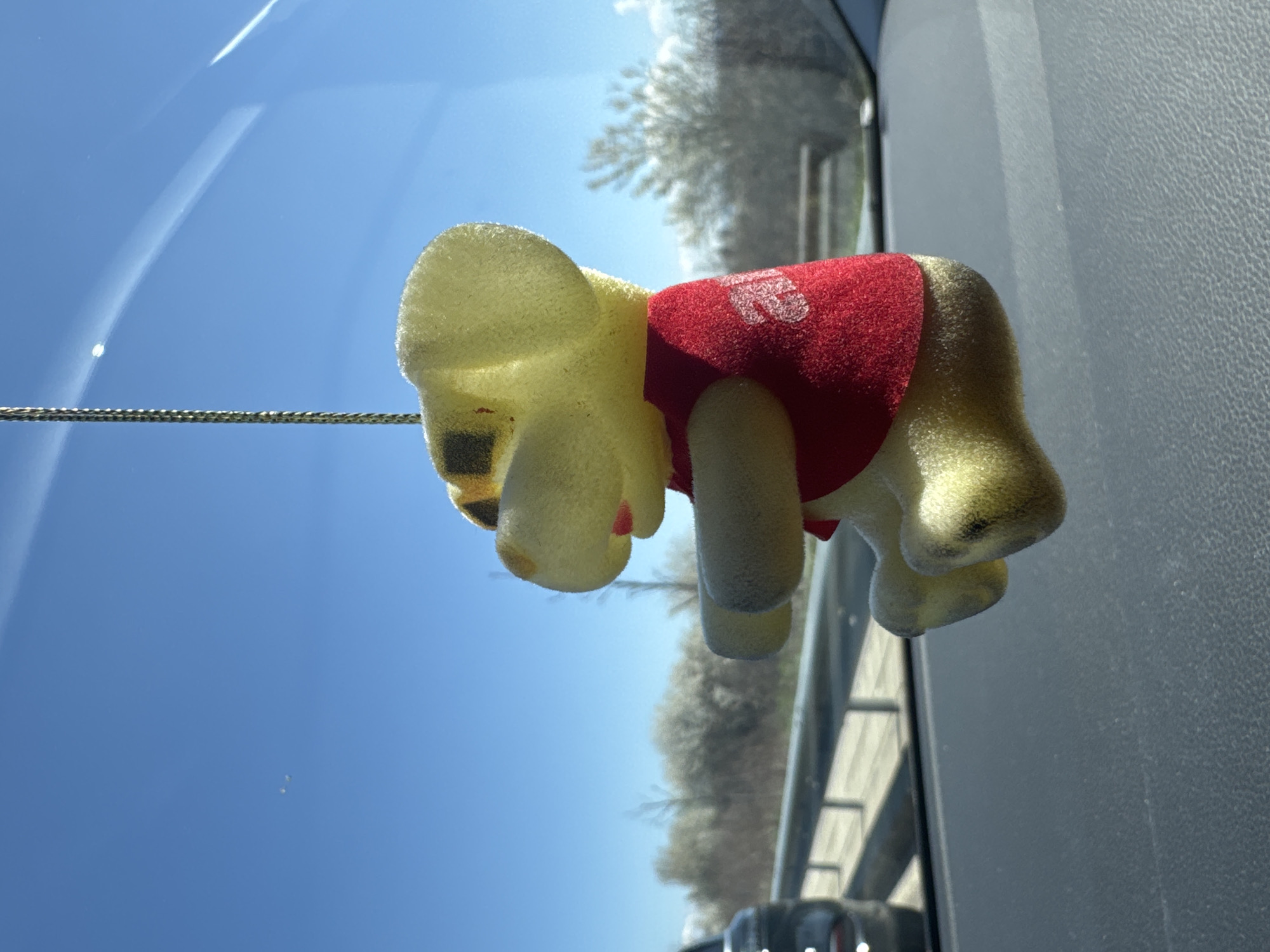 A fuzzy, yellow, bear-like object with a red vest is hanging from a string inside a vehicle. The background shows a bright blue sky and what appears to be trees along a road or highway. The interior of the vehicle, specifically the dashboard and possibly a window or pillar, is visible as well. Location information (Busmantsi, Bulgaria) cannot be ascertained from the image.
