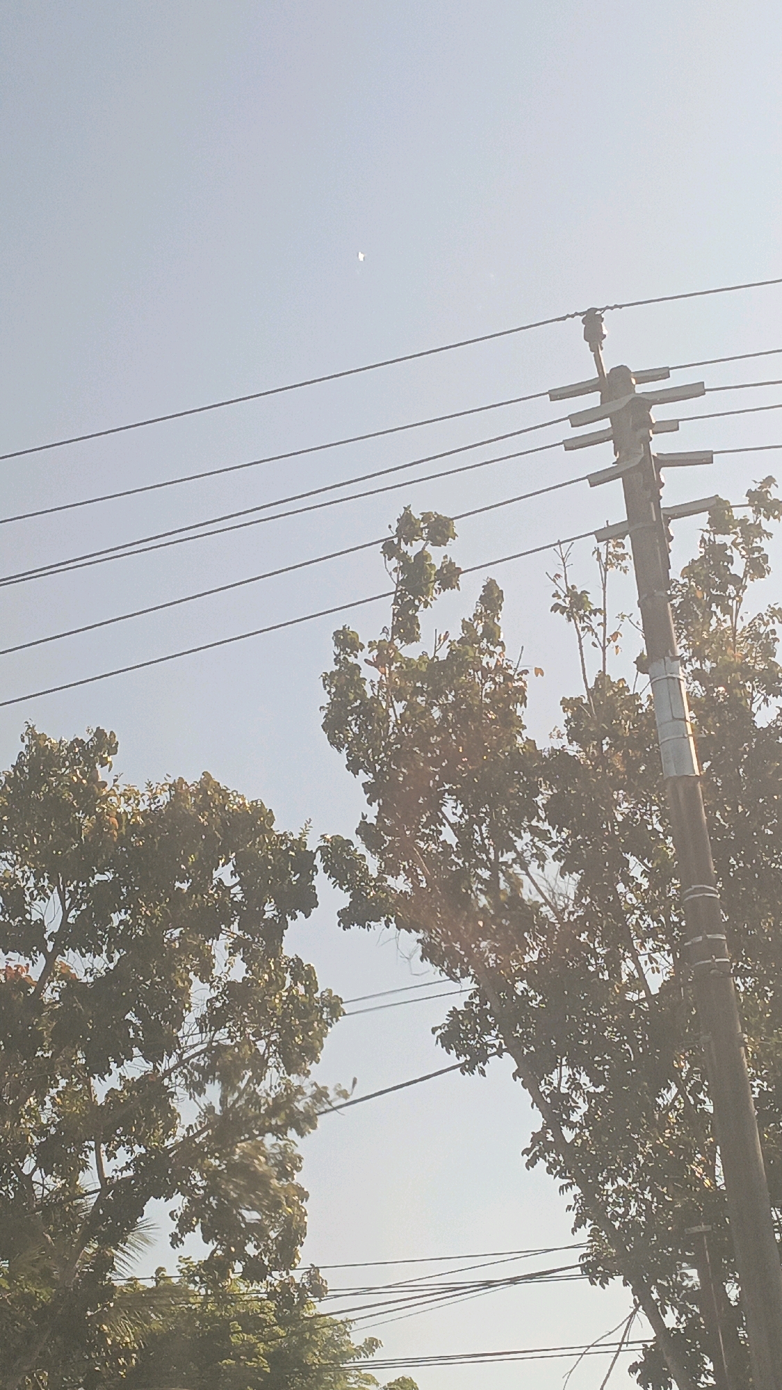 A daytime, medium-angle shot captures a utility pole and overhead wires against a hazy sky, with trees framing the lower portion of the image. The utility pole, constructed of dark wood, is positioned on the right side and features crossbars supporting multiple black wires. A metal band encircles the pole about midway up. On the left and right, the canopies of leafy green trees partially obscure the sky and wires. The sky is a pale blue with a slight haze, and a small, bright object is visible in the upper center, likely an aircraft or satellite. The scene suggests an outdoor environment in a populated area, potentially within the region of Desa Pabahanan, Pelaihari, Tanah Laut, Indonesia, given the commonality of such infrastructure.