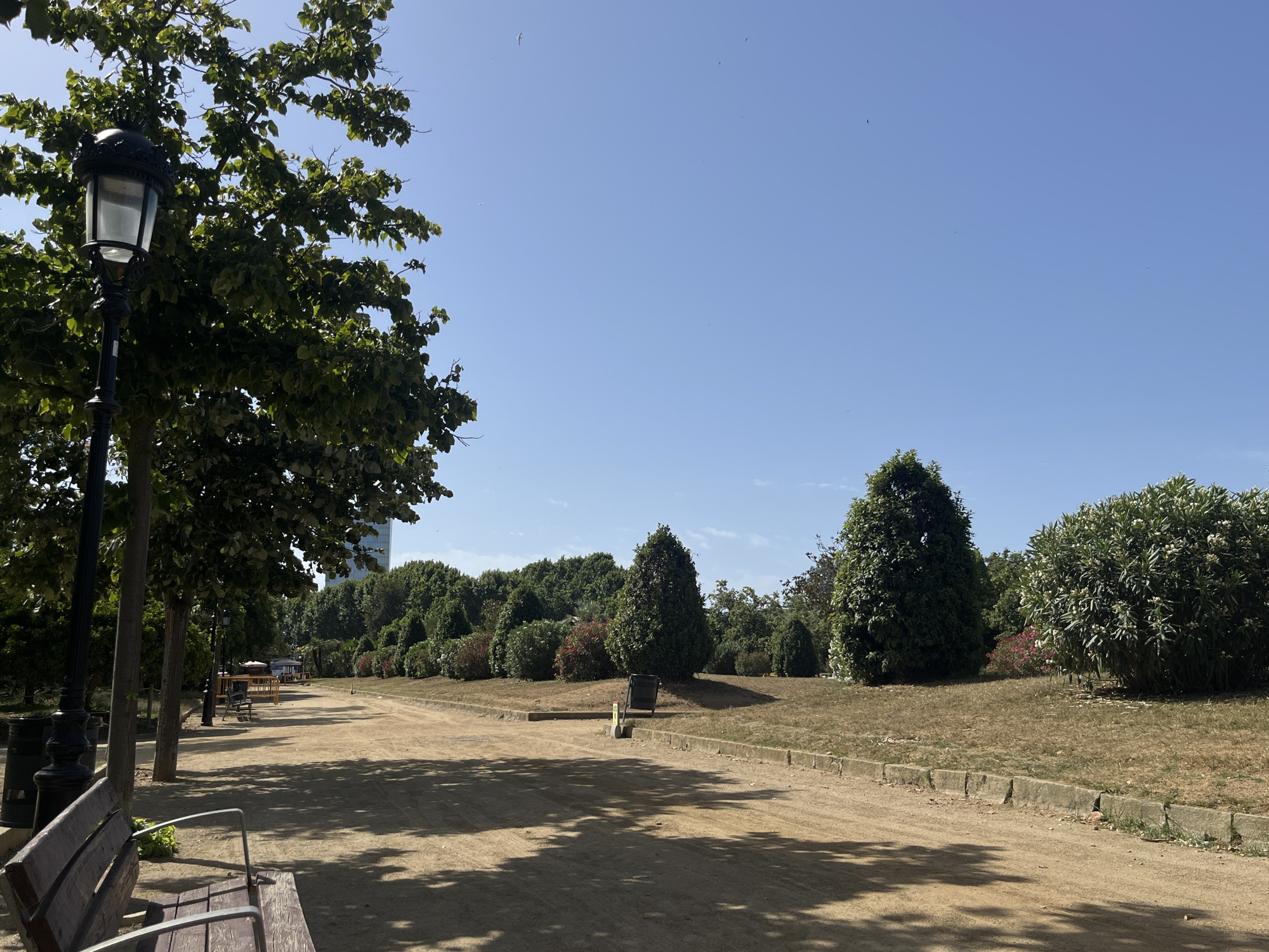 This image depicts a sunny day in a park in Barcelona, Spain, likely Parc de la Ciutadella, given the presence of a distinct street lamp and lush greenery. The foreground features a dirt path, with shadows from trees cast across it, indicating a bright, mid-day sun. To the left, a dark, ornate lamppost stands next to a wooden bench. Beyond the path, a line of trees and manicured bushes creates a green backdrop. In the middle ground, there are more trees, some with visible flowering bushes. In the far distance, a tall, modern building with a glass facade is visible through the trees, suggesting an urban setting adjacent to the park. The sky is a clear, bright blue with a few small birds or insects visible. The overall scene is peaceful and orderly, characteristic of a well-maintained urban park.