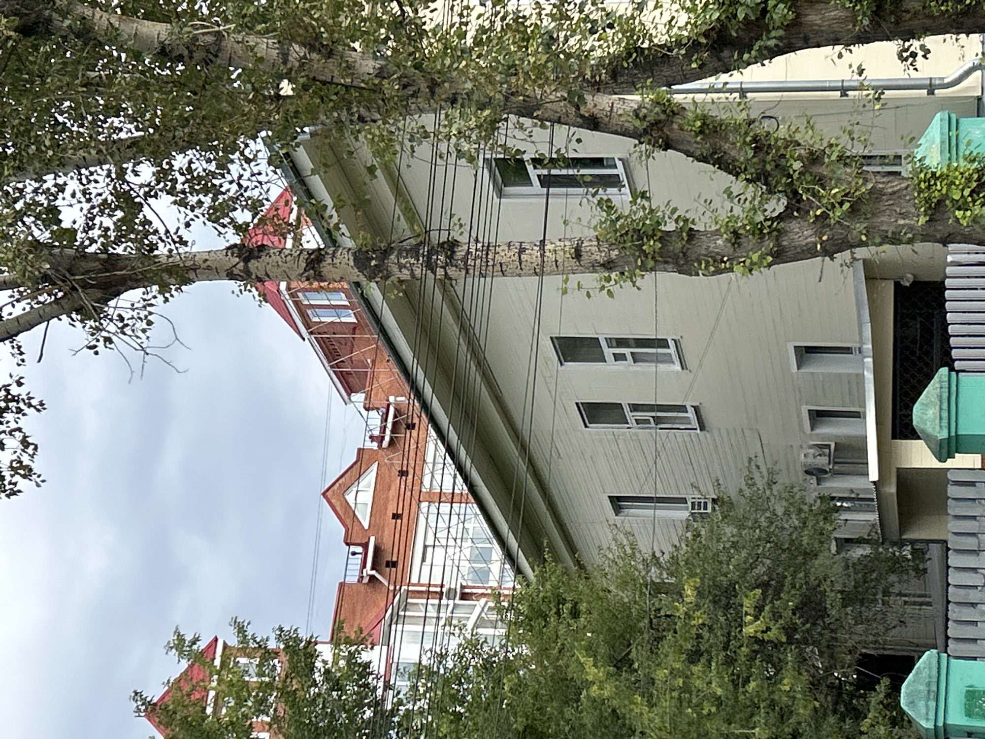 The image is a medium-distance, eye-level, outdoor, daytime shot in Tomsk, Russia. The scene focuses on the exterior of a building with a light-colored facade, appearing to be a two-story structure with visible windows. The building has a sloped roof covered in what appears to be light-colored siding. In the background, a taller, red brick building with a red roof is visible. Trees with green foliage are prominent in the foreground, partially obscuring the view of the buildings. Power lines are strung across the scene, running horizontally in front of the lighter facade building. A grey wooden fence with green posts is visible in the lower part of the frame. The sky is overcast with a pale, cloudy appearance.