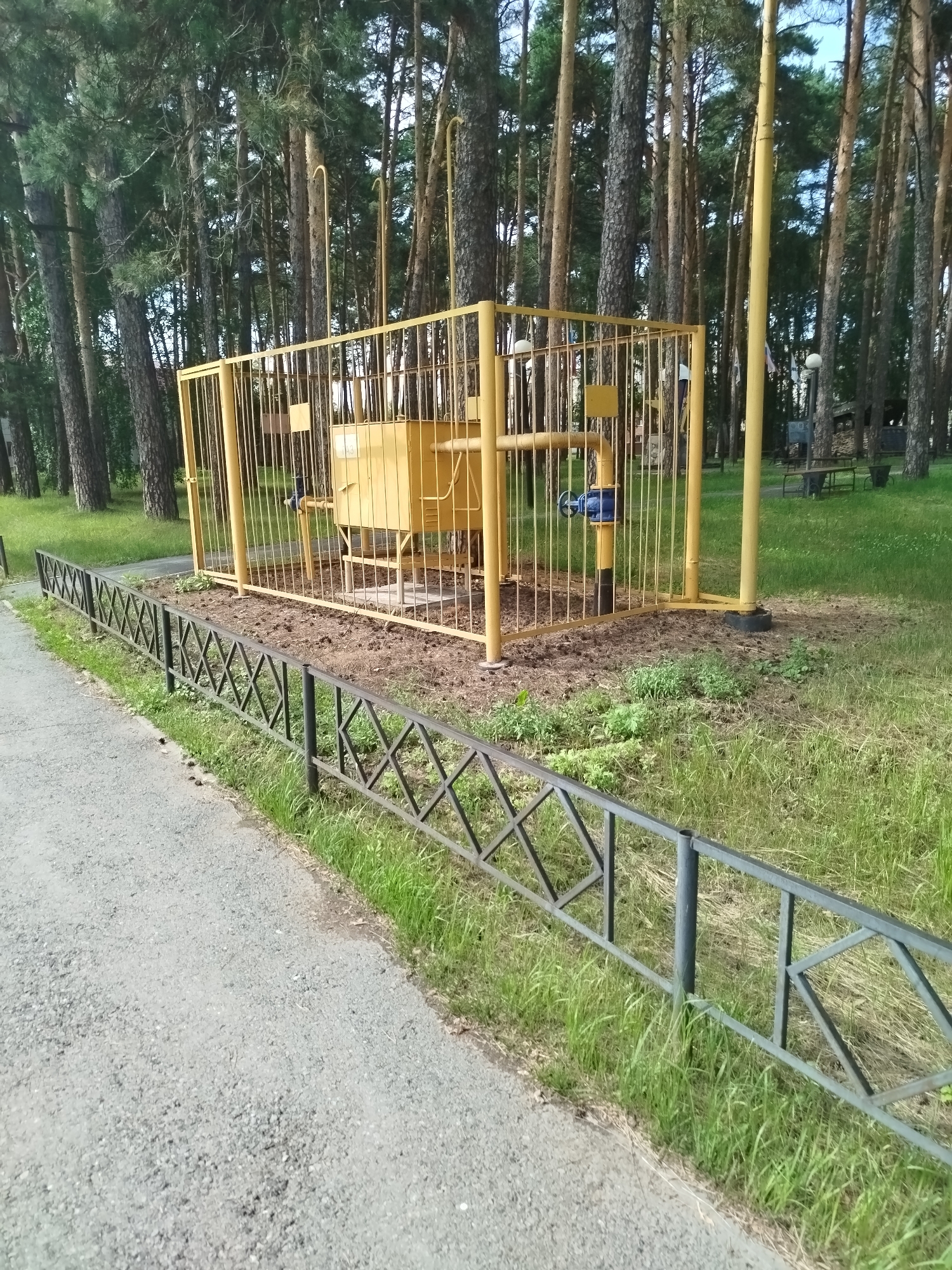 The image shows a gas distribution point enclosed by a yellow metal fence in a wooded area. A gray gravel path runs along the left side of the frame, bordered by a black metal fence. The gas distribution point itself is a yellow metal box with pipes and a blue valve. The surrounding environment is characterized by tall pine trees and green grass, with some pinecones scattered on the ground. In the background, there are hints of park benches and other structures, suggesting a recreational or public space within a forest. The lighting suggests it is daytime, likely overcast or late afternoon. There are no people or animals visible in the image.