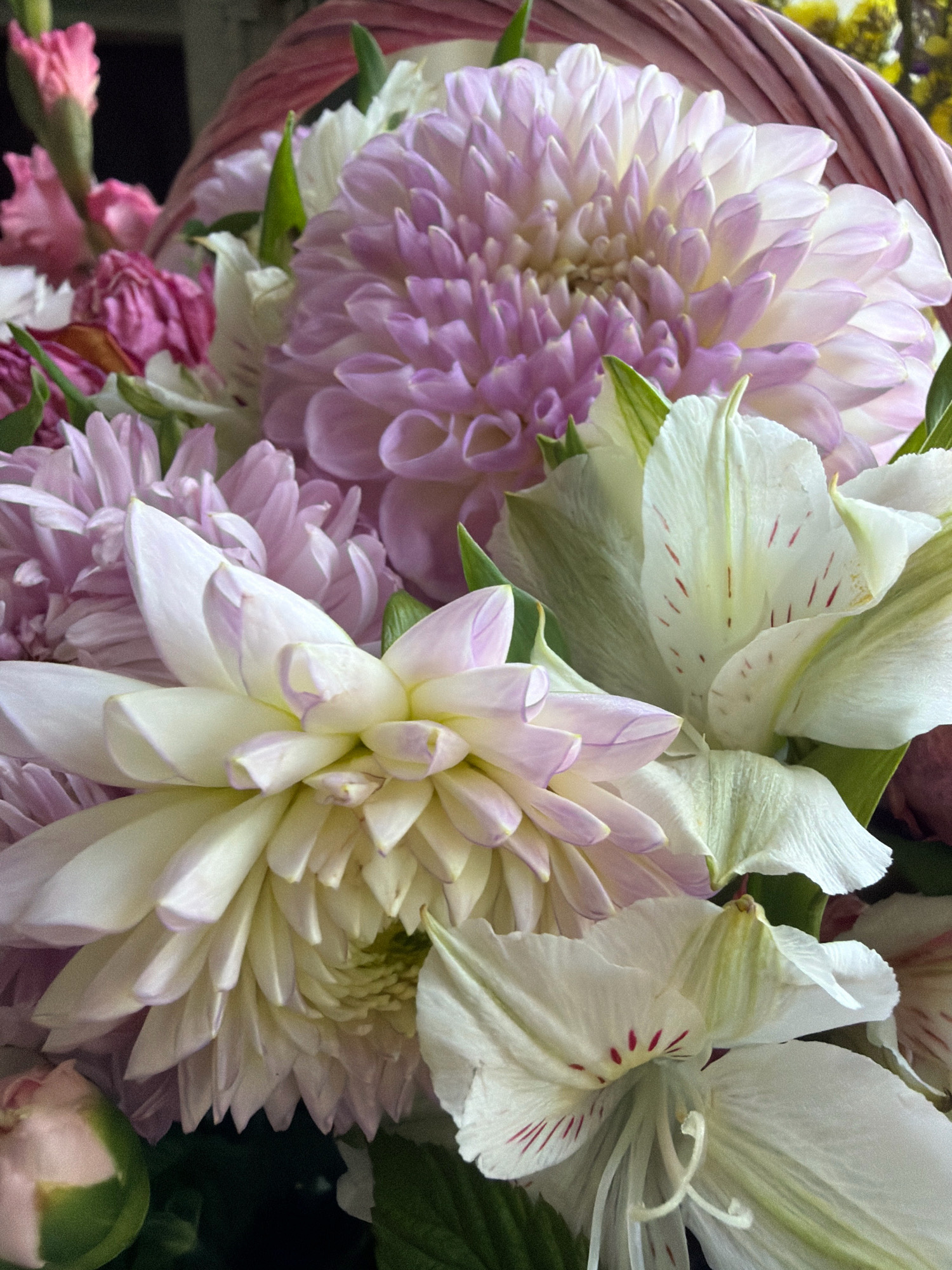 A close-up, eye-level shot captures a bouquet of flowers, predominantly white and pale pink dahlias, arranged in a woven basket. The background is dark and out of focus. The flowers are vibrant, with layered petals and subtle red markings on some of the white blooms. The composition emphasizes the delicate textures and soft colors of the floral arrangement. The image appears to be taken indoors, with no visible environmental context connecting it to any specific location, including Бабініцкі сельскі Савет, Belarus.
